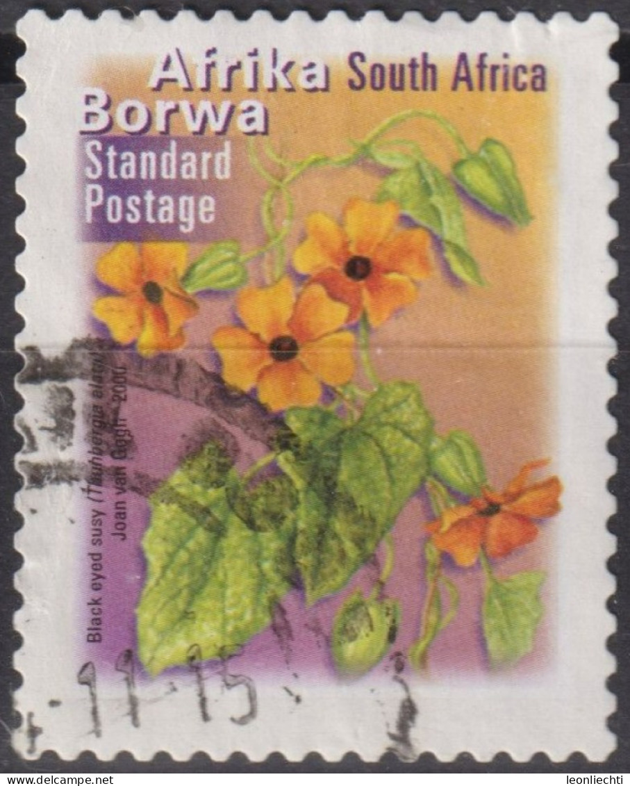 2000 Südafrika ° Mi:ZA 1316BA, Sn:ZA 1199F, Yt:ZA 1127AK,Black Eyed Susy (Thunbergia Alata) - Afrika Borwa, - Oblitérés