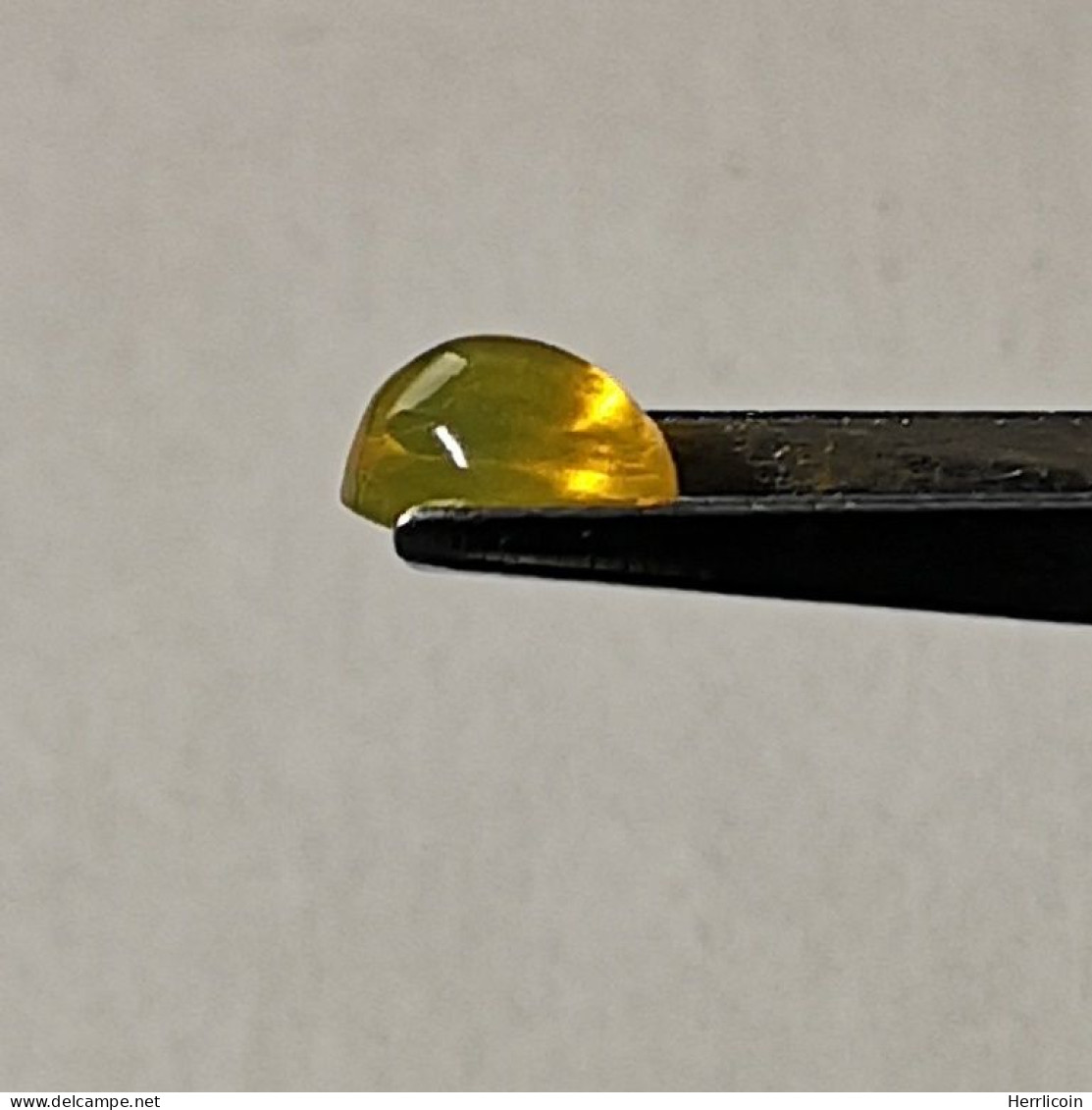 Opale Jaune/Commune Naturelle 0,83 Carat Du Ethiopie  | 7,4 X 5,8 X 4,2 Mm  | Cabochon Ovale - Opale