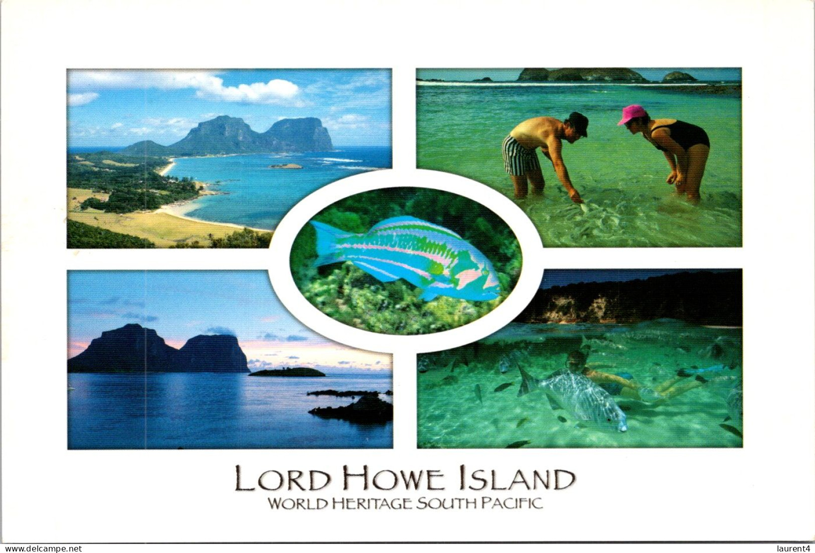 15-2-2024 (4 X 20) Australia - NSW - Lord Howe Island  (posted With Bird Stamp 2002) - Sonstige & Ohne Zuordnung