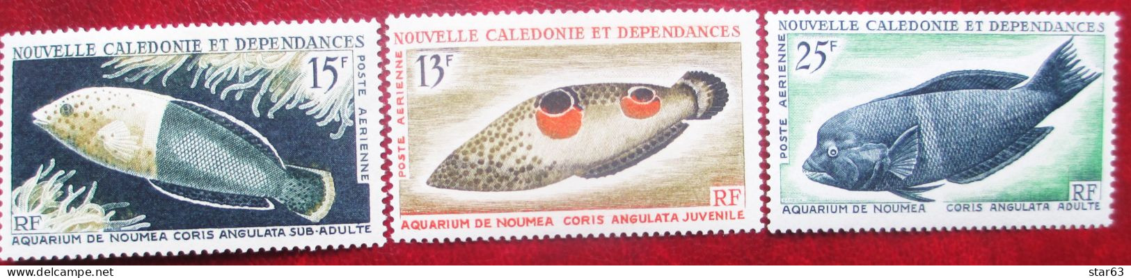 New Caledonia  1965    3 V   MNH - Nuovi