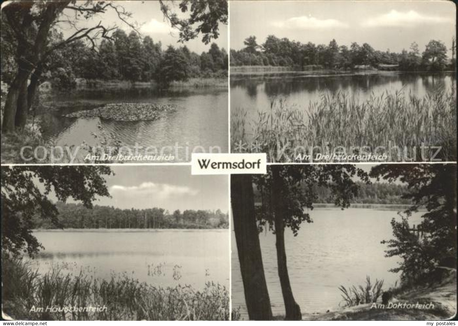 72335862 Wermsdorf Dreibrueckenteich Haeuschenteich Doktorteich Wermsdorf - Wermsdorf