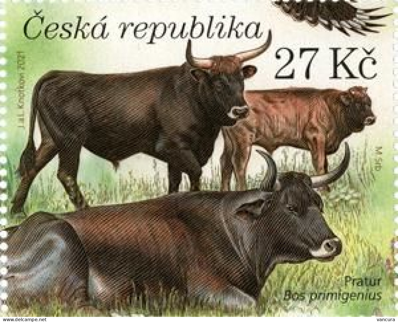 1128 Czech Republic Milovice 2021 Bos Primigenius - Mucche