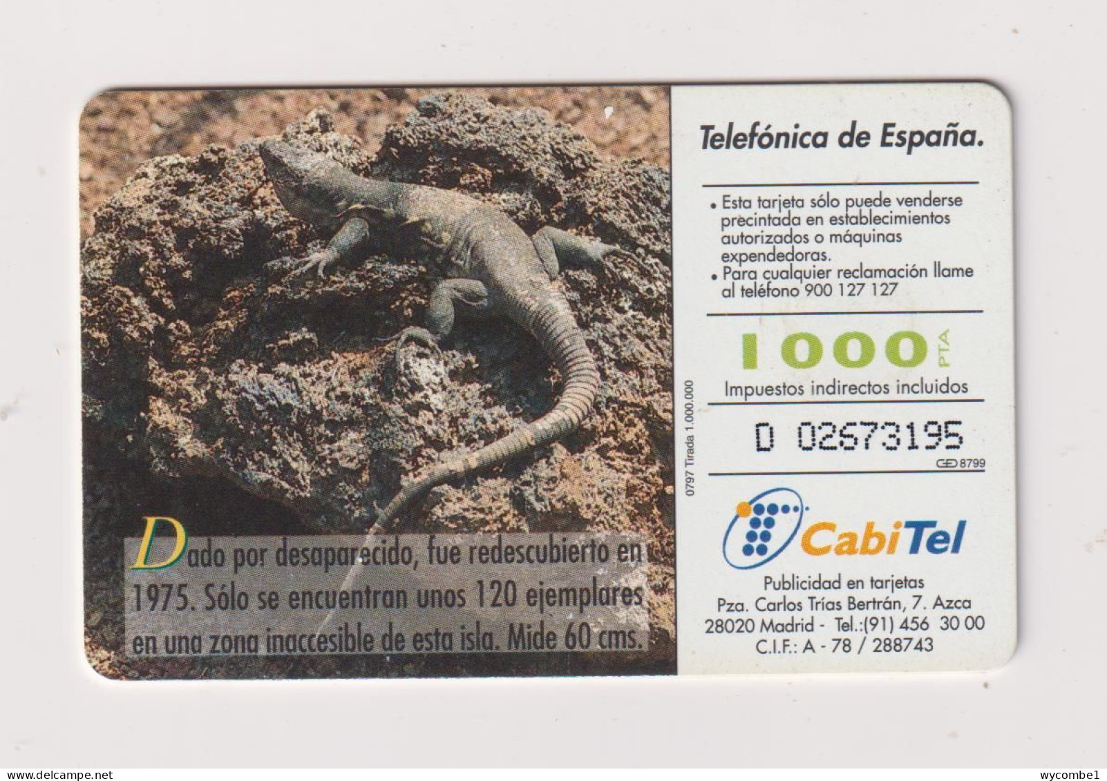 SPAIN - El Hierro Giant Lizard Chip Phonecard - Werbekarten