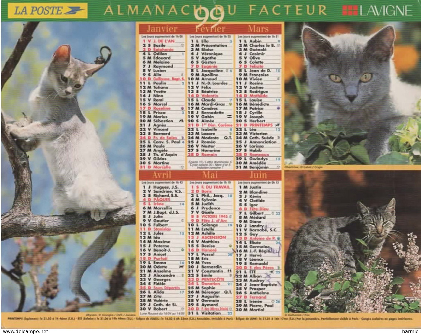 CALENDRIER ANNEE 1999, COMPLET, CHATONS, CHIOTS COULEUR  REF 14383 - Groot Formaat: 1991-00