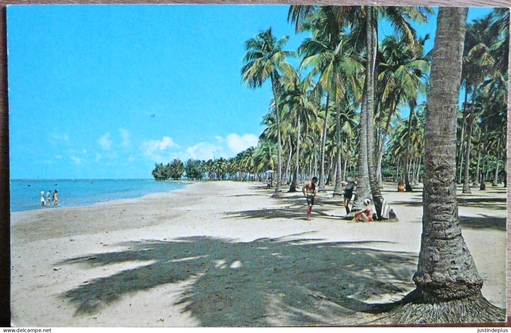 BEAUTIFUL LUQUILLO BEACH  IN THE CARRIBEAN AREA - Puerto Rico