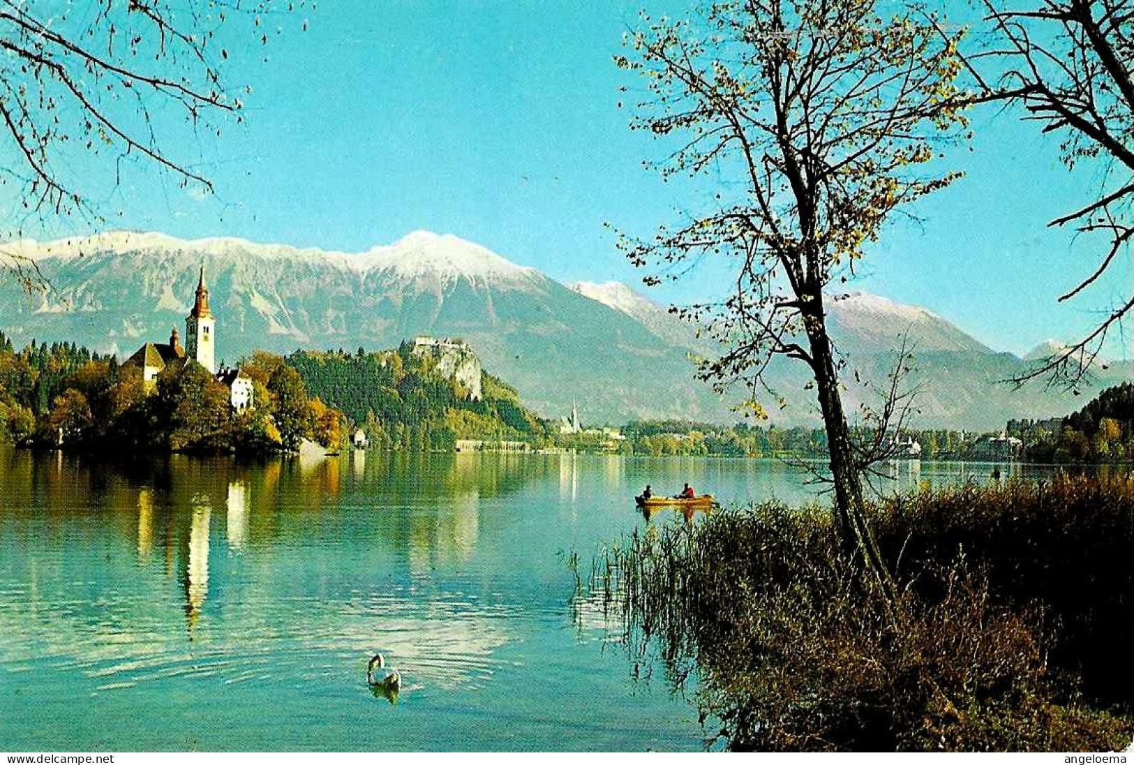 JUGOSLAVIA - 1976 BLED Golf Hotel Su Cartolina Illustrata - Annullo A Targhetta - 4232 - Golf