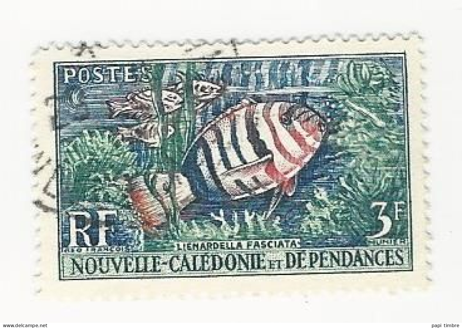 Nouvelle Calédonie - 1959 Coraux Et Poissons - N° 292 Oblitéré - Usados
