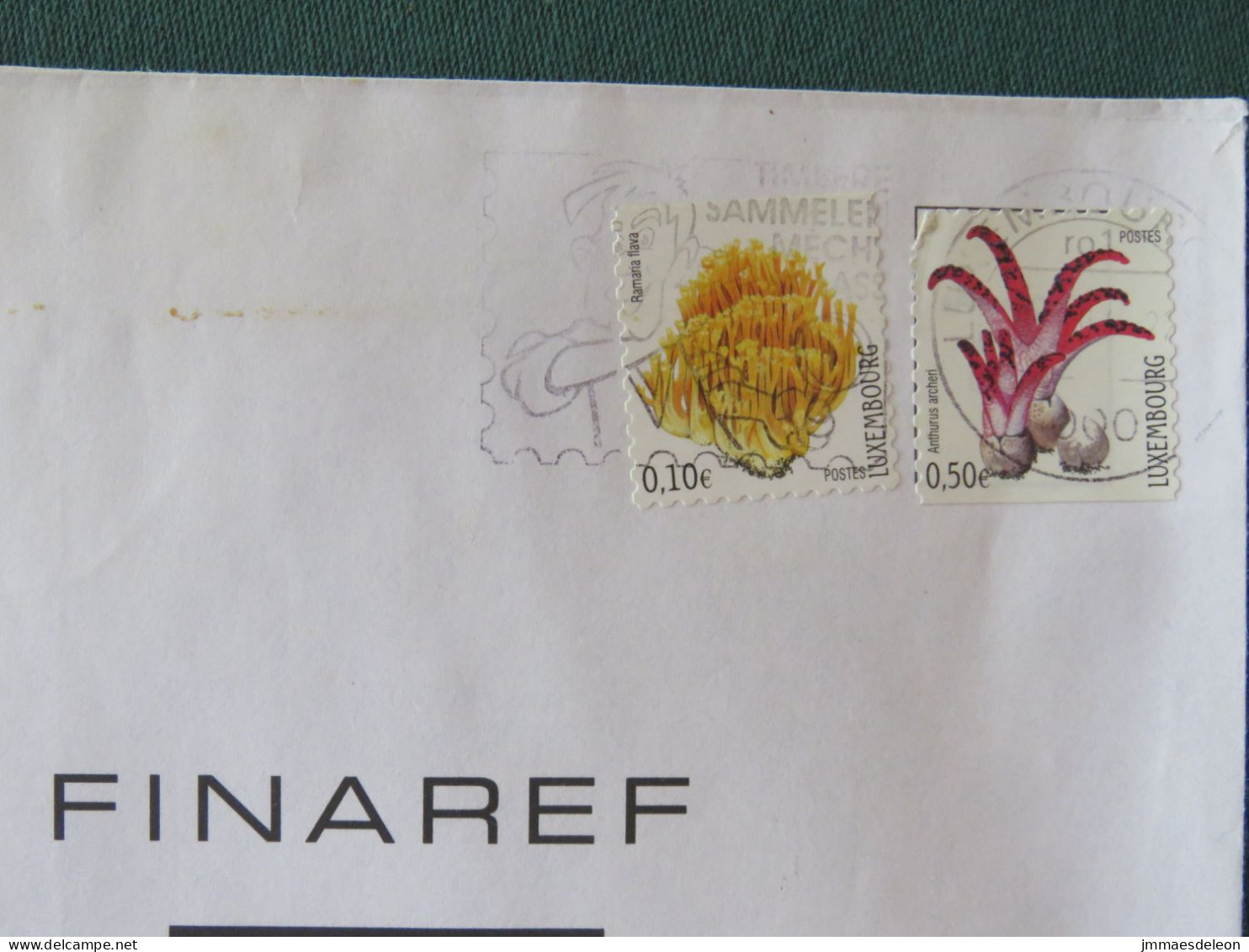 Luxembourg 2013 Cover To France - Flowers - Philately Slogan - Covers & Documents