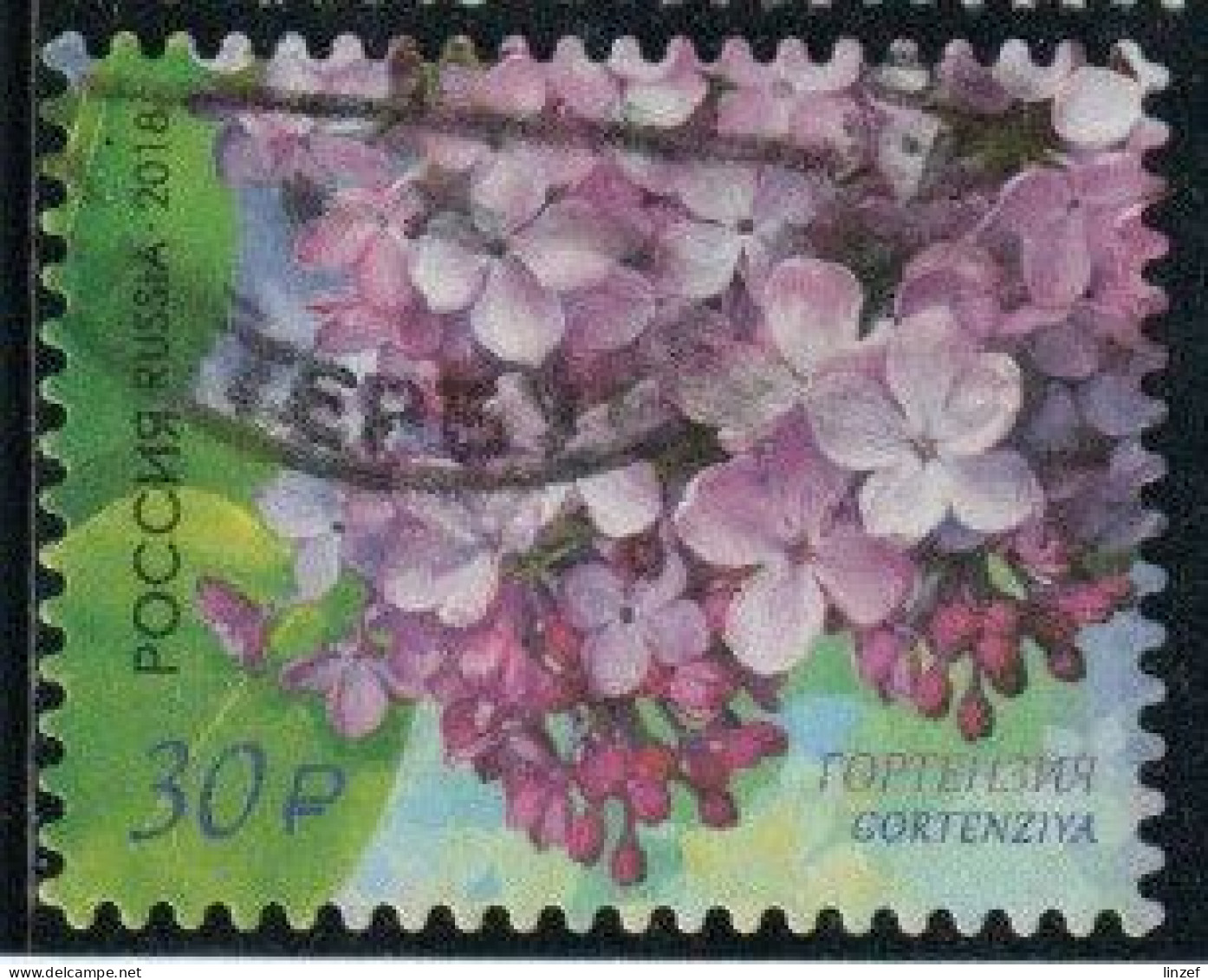 Russie 2018 Yv. N°7915 - Hortensia Lilas - Oblitéré - Usados