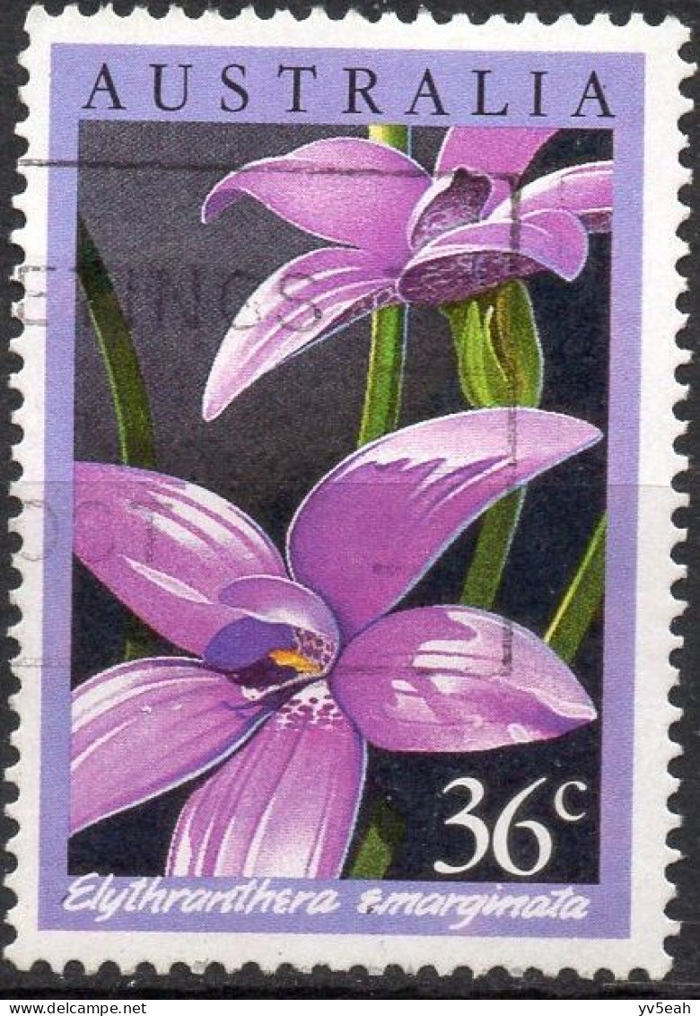 AUSTRALIA/1986/USED/SC#997/ ORCHIDS/ FLOWERS/ 36c ELYTHRANTHERA EMARGINATA - Usados