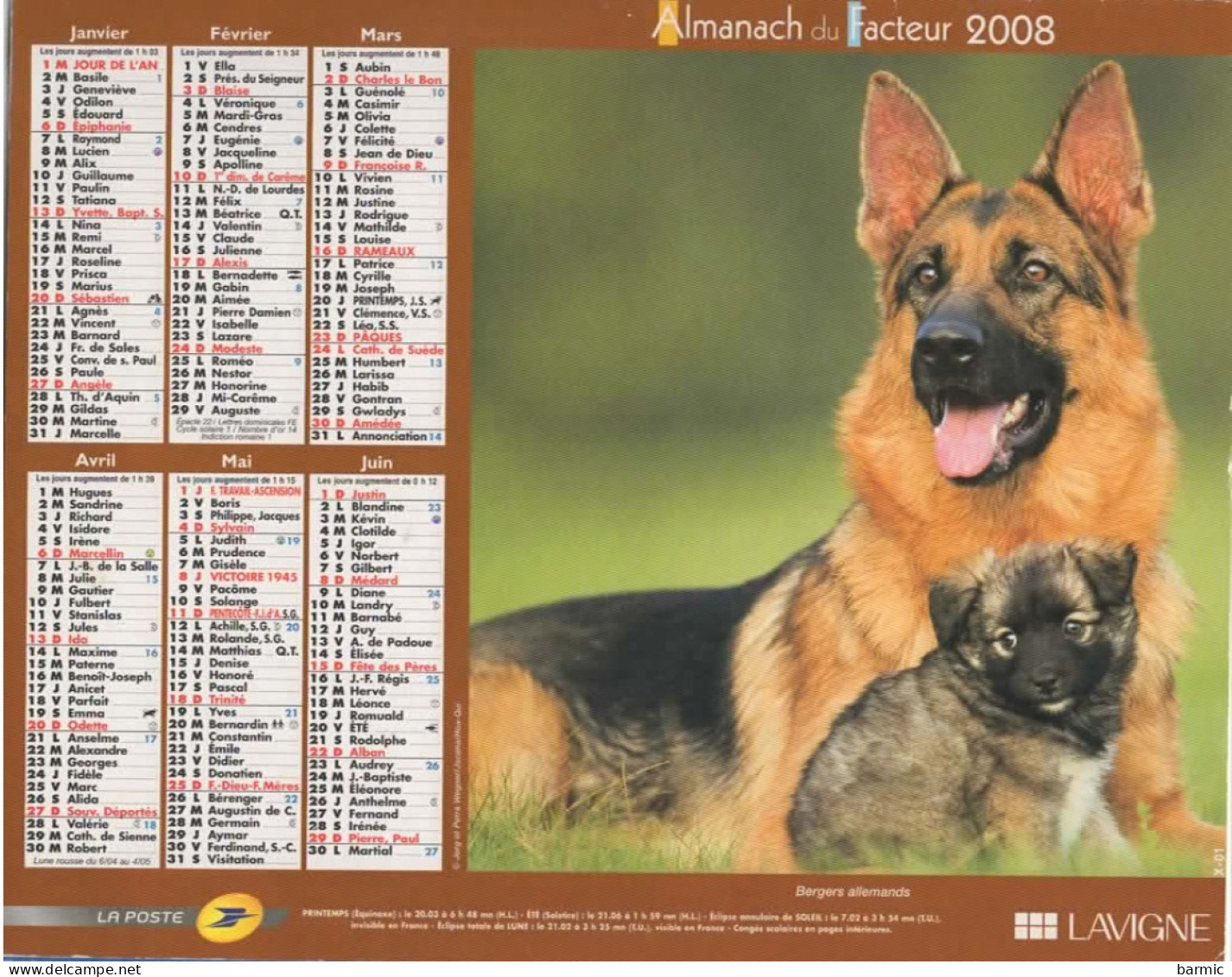 CALENDRIER ANNEE 2008, COMPLET, CHIENS COULEUR REF 14404 - Grossformat : 2001-...