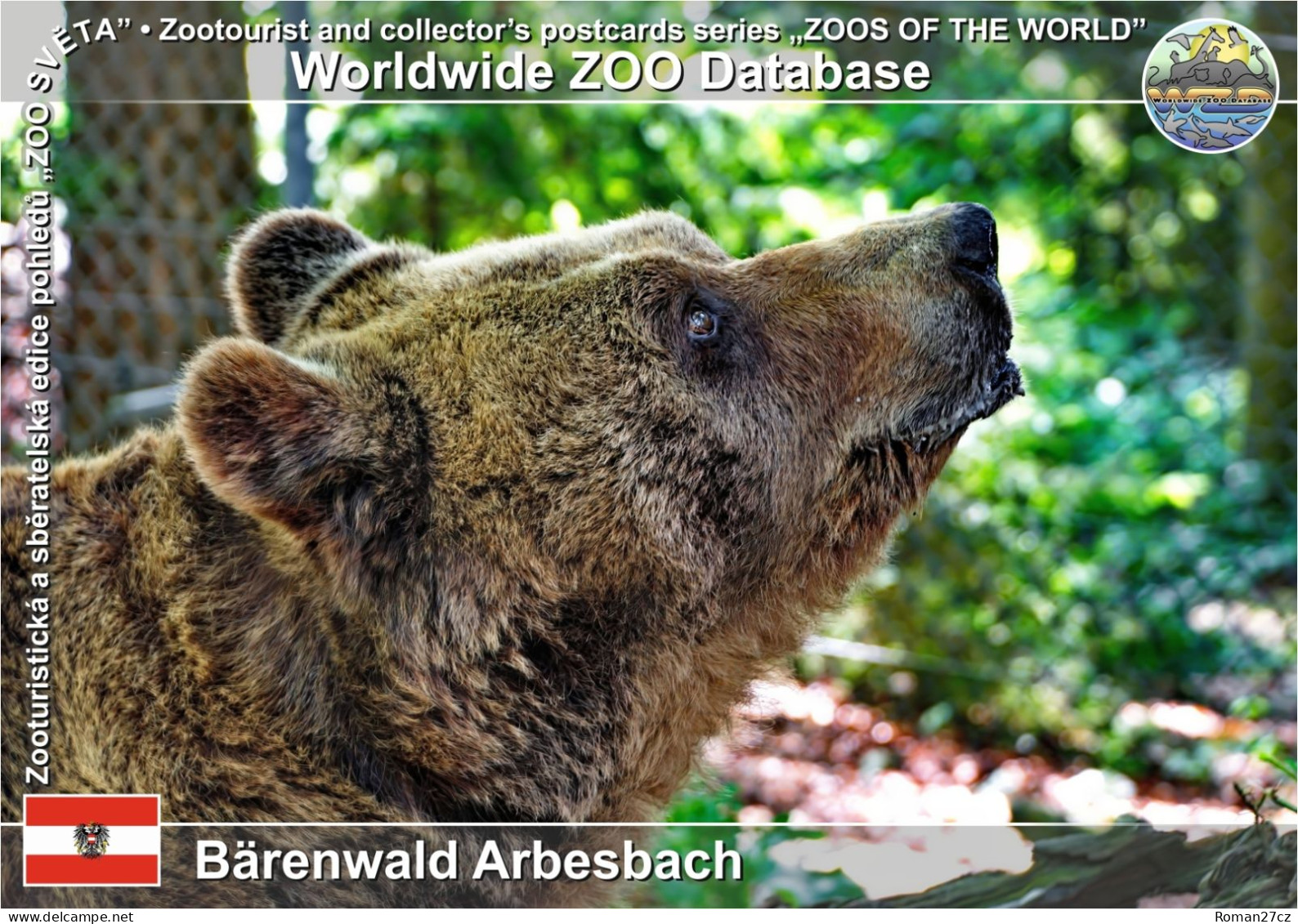 01341 WZD • ZOO - Bärenwald Arbesbach, AT - Brown Bear (Ursus Arctos) - Zwettl