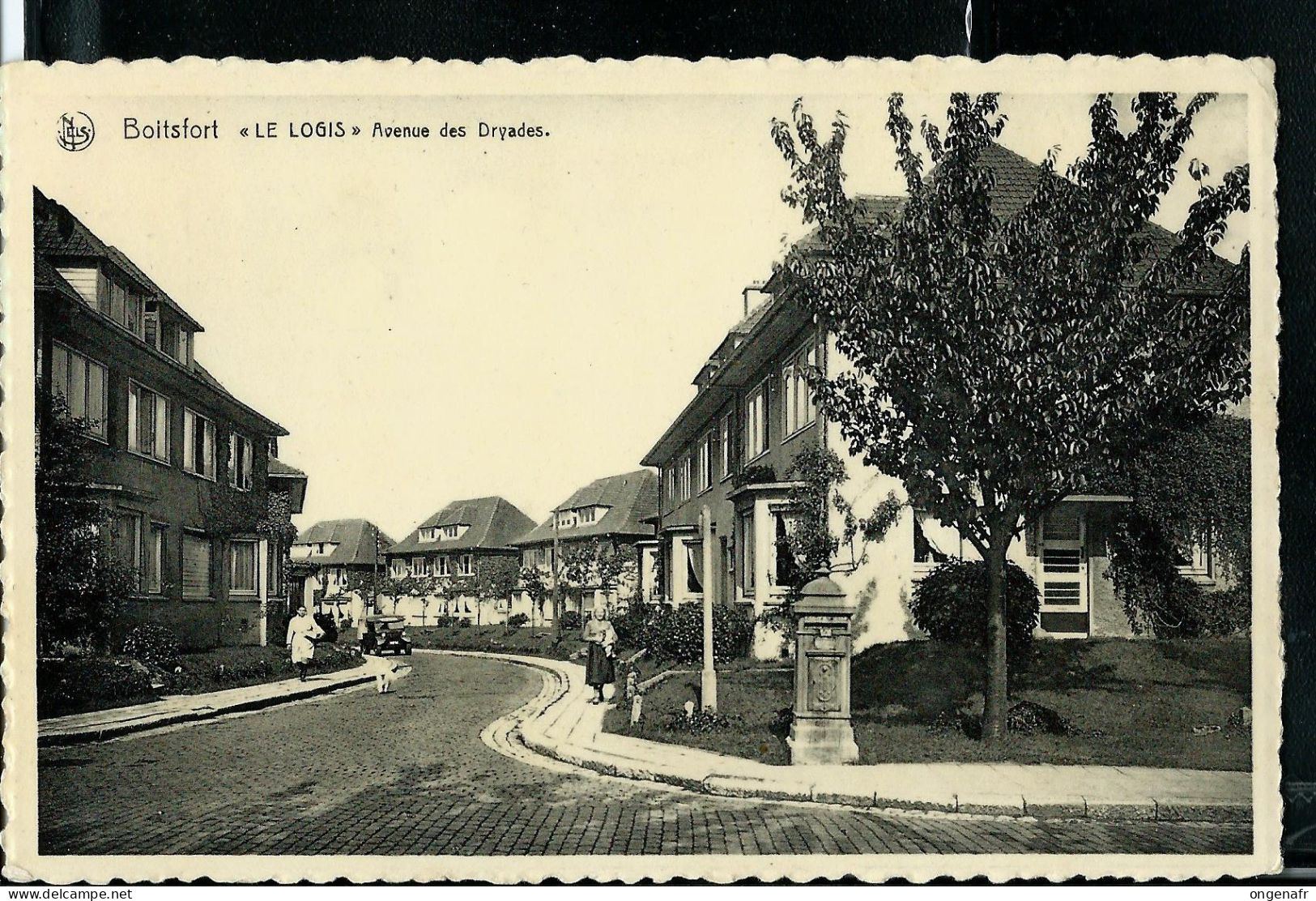 Boitsford " LE LOGIS" - Avenue Des Dryades - Obl. 1955 - Watermael-Boitsfort - Watermaal-Bosvoorde