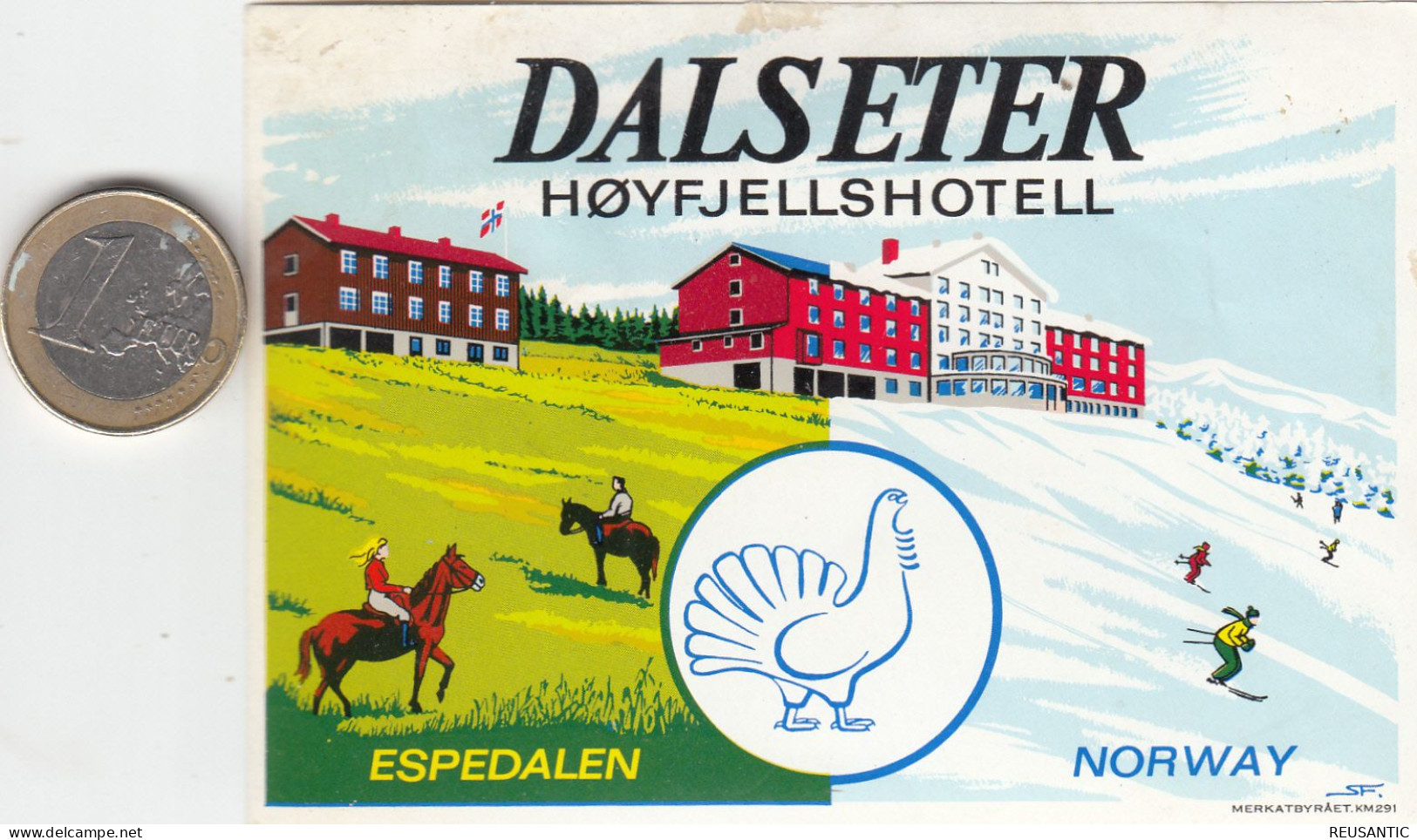 ETIQUETA - STICKER - LUGGAGE LABEL  NORWAY - NORGE - HOTEL DALSETER - ESPEDALEN - Etiquettes D'hotels