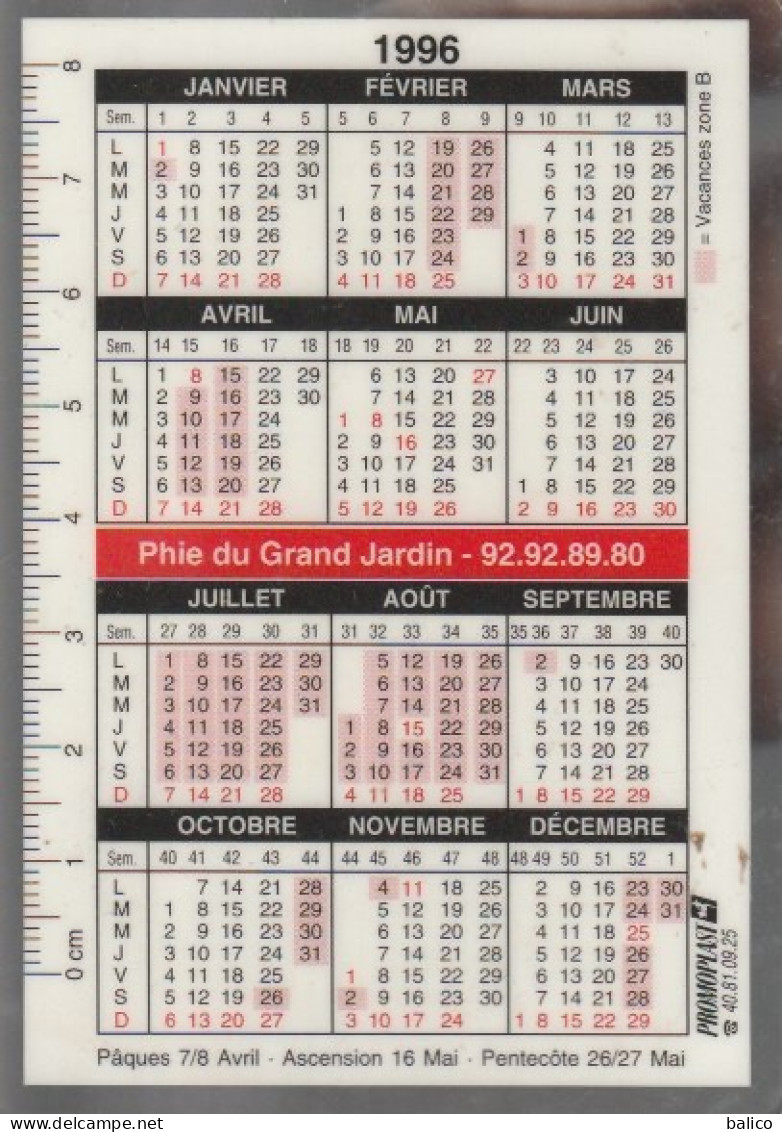 Calendrier  1996  -  Pharmacie Du Grand Jardin - 16 Avenue Marcel-Journet - Mouans-Sartoux - Grossformat : 1991-00