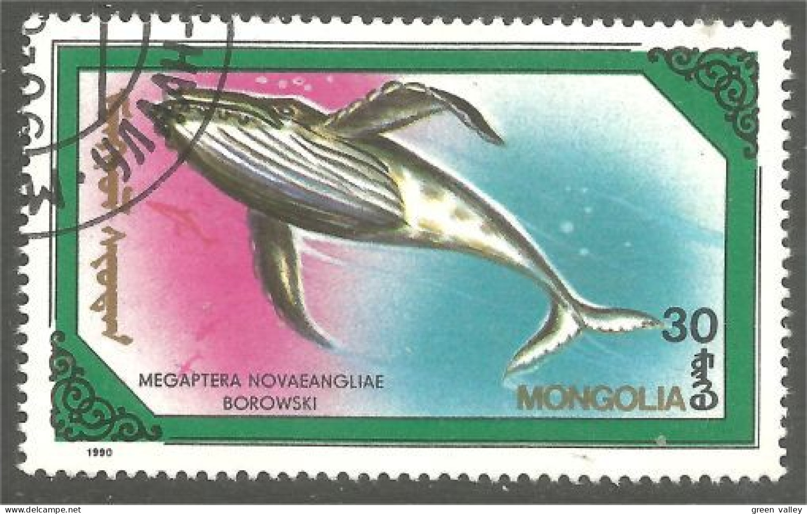 XW01-1557 Mongolia Baleine Whale Wal Ballena - Balene