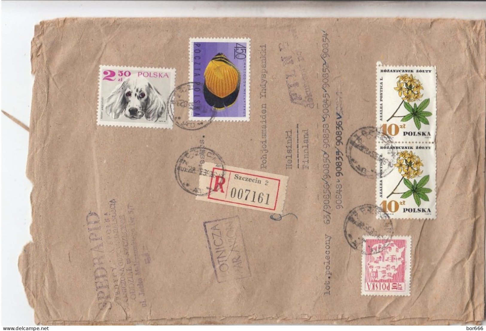 GOOD POLAND " REGISTERED "  Postal Cover To FINLAND 1969  - Good Stamped: Fish ; Dog ; Flowers - Cartas & Documentos