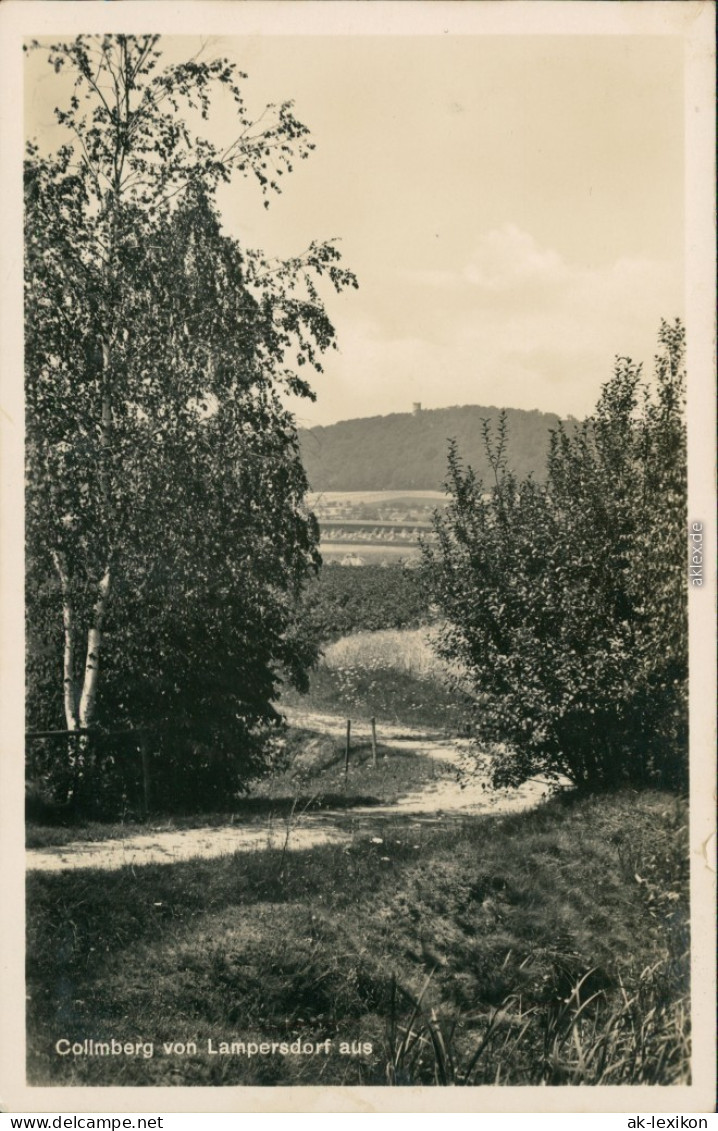 Ansichtskarte Collm-Wermsdorf Feldweg Mit Fernblick 1932 - Wermsdorf