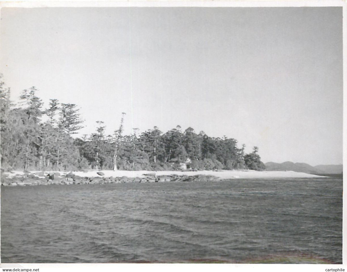 Australia - Lot de 10 photos de 1948 Barrière de Corail prise par Chollot Consulat Francais à Sydney NSW Bowen Peche