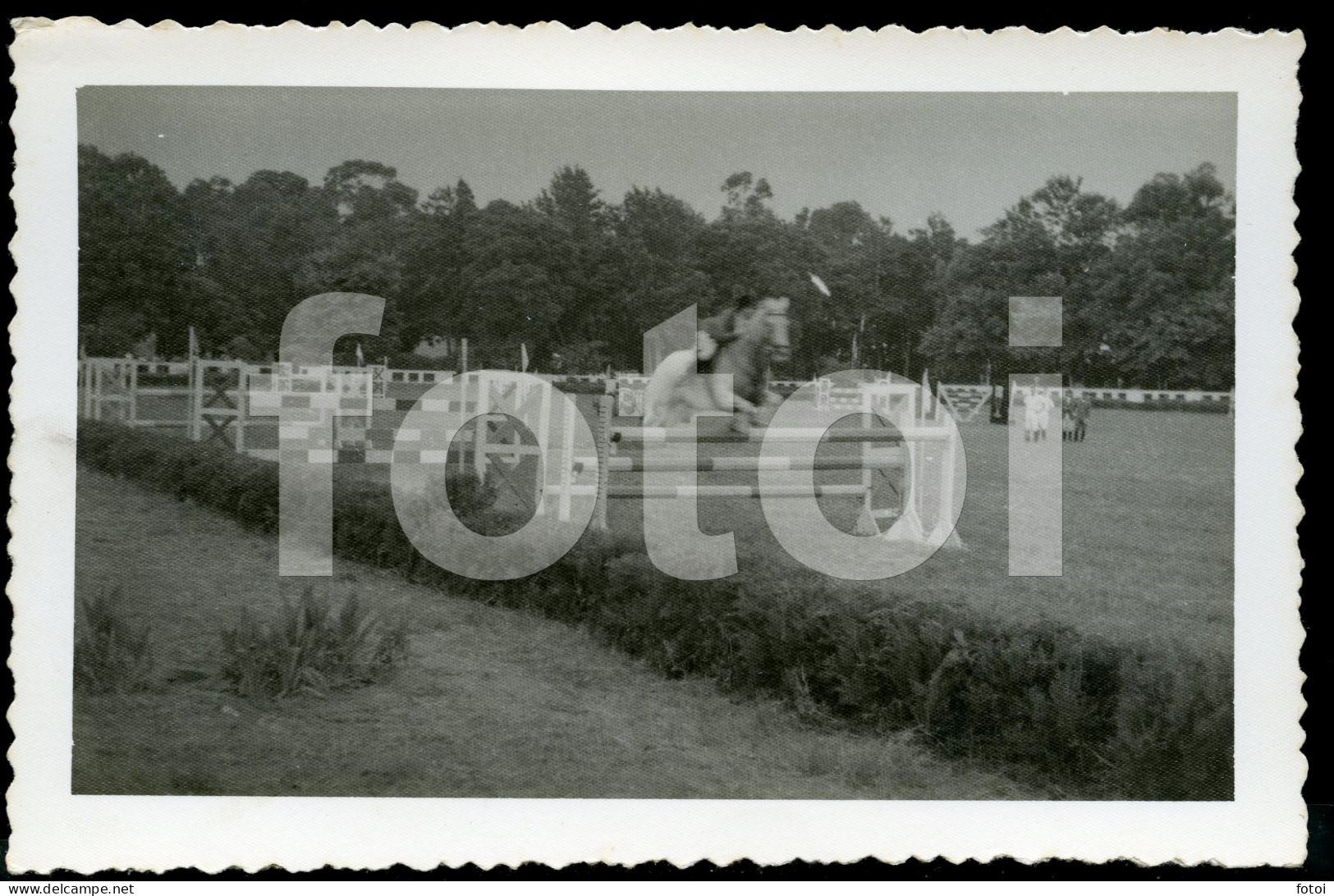 13 POSTCARDS SET REAL FOTO POSTCARD SIZE PROVA HIPISMO LOURENÇO MARQUES MOÇAMBIQUE MOZAMBIQUE HORSE AFRICA AFRIQUE PHOTO