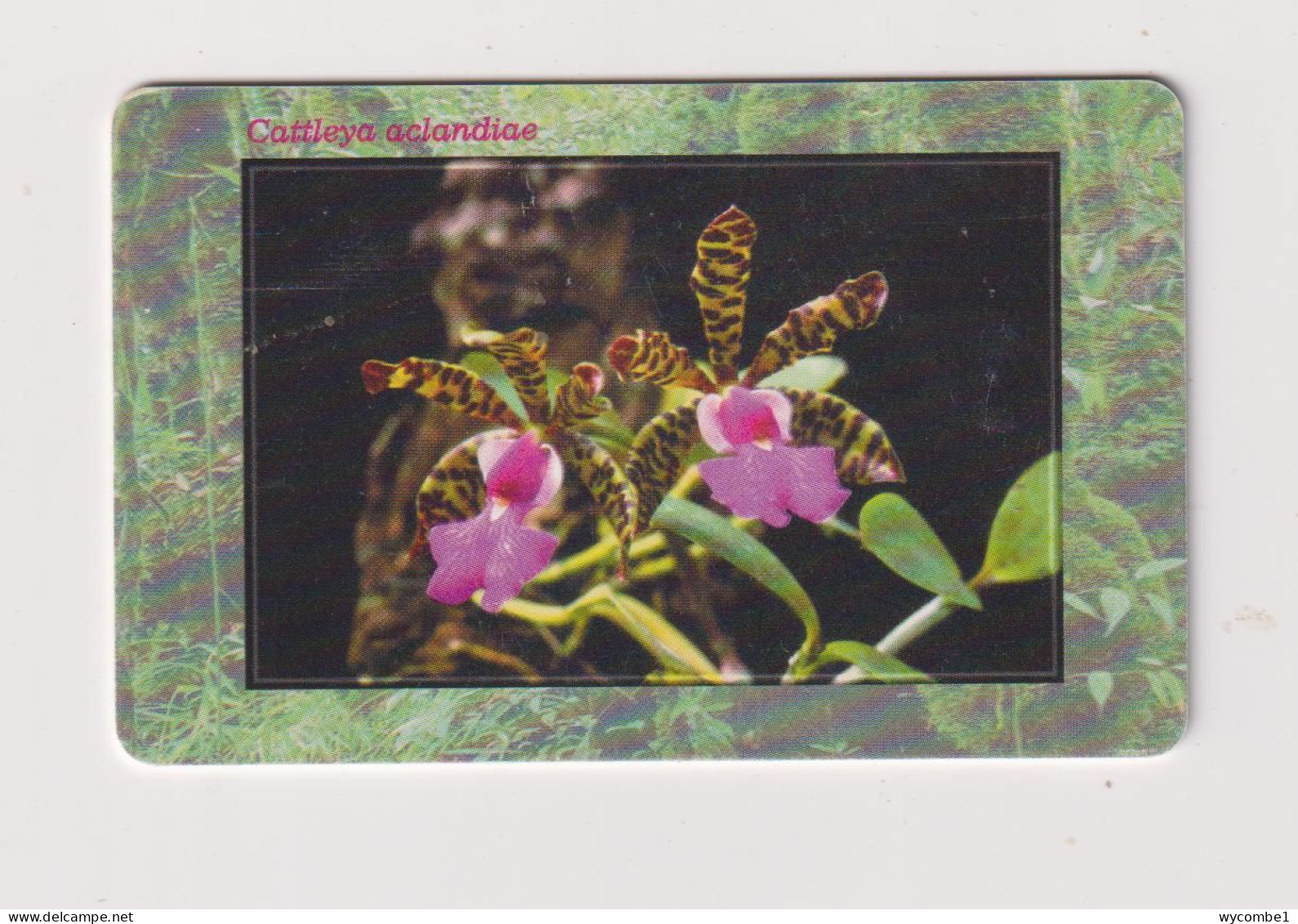 CZECH REPUBLIC - Orchids Chip Phonecard - Repubblica Ceca