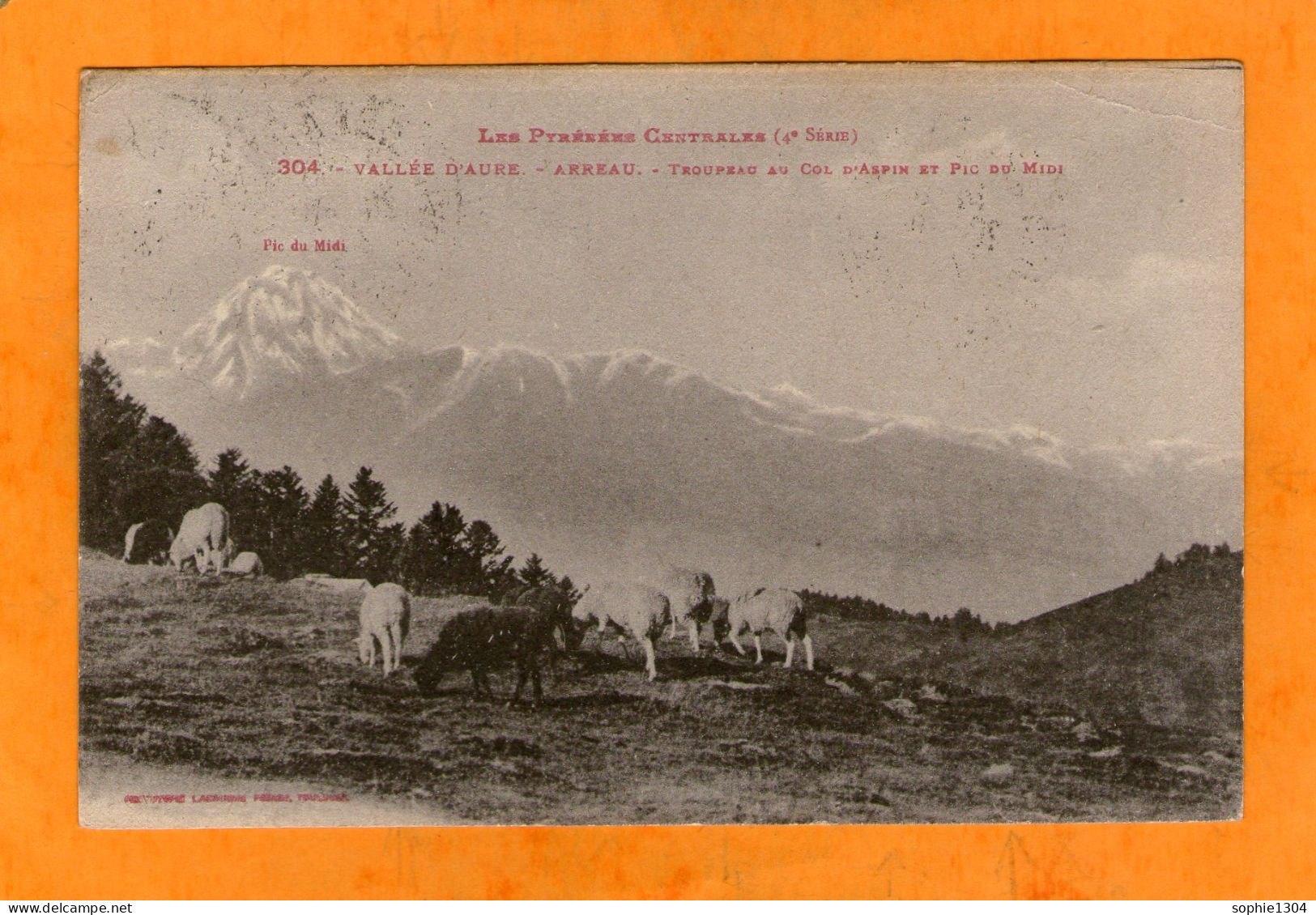 VALLEE D'AURE - ARREAU - Troupeau Au Col D'Aspin Et Pic Du Midi - Rabastens De Bigorre