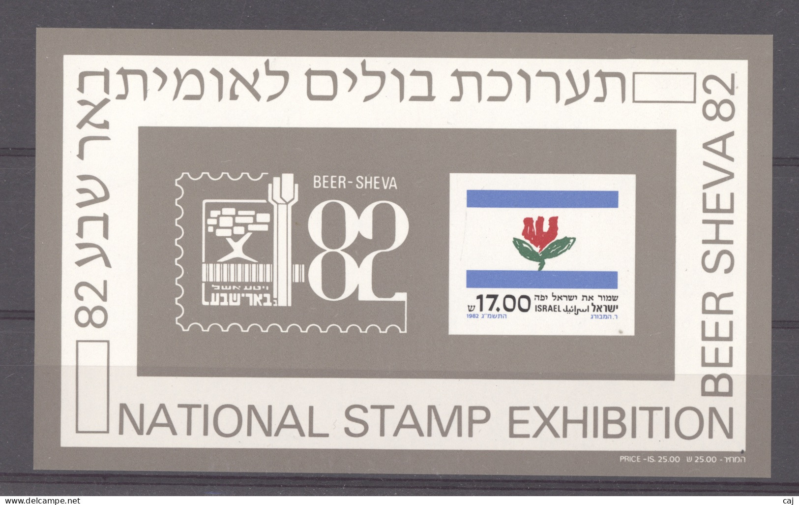 Israel  -  Blocs  :  Yv  22  ** - Blocks & Sheetlets