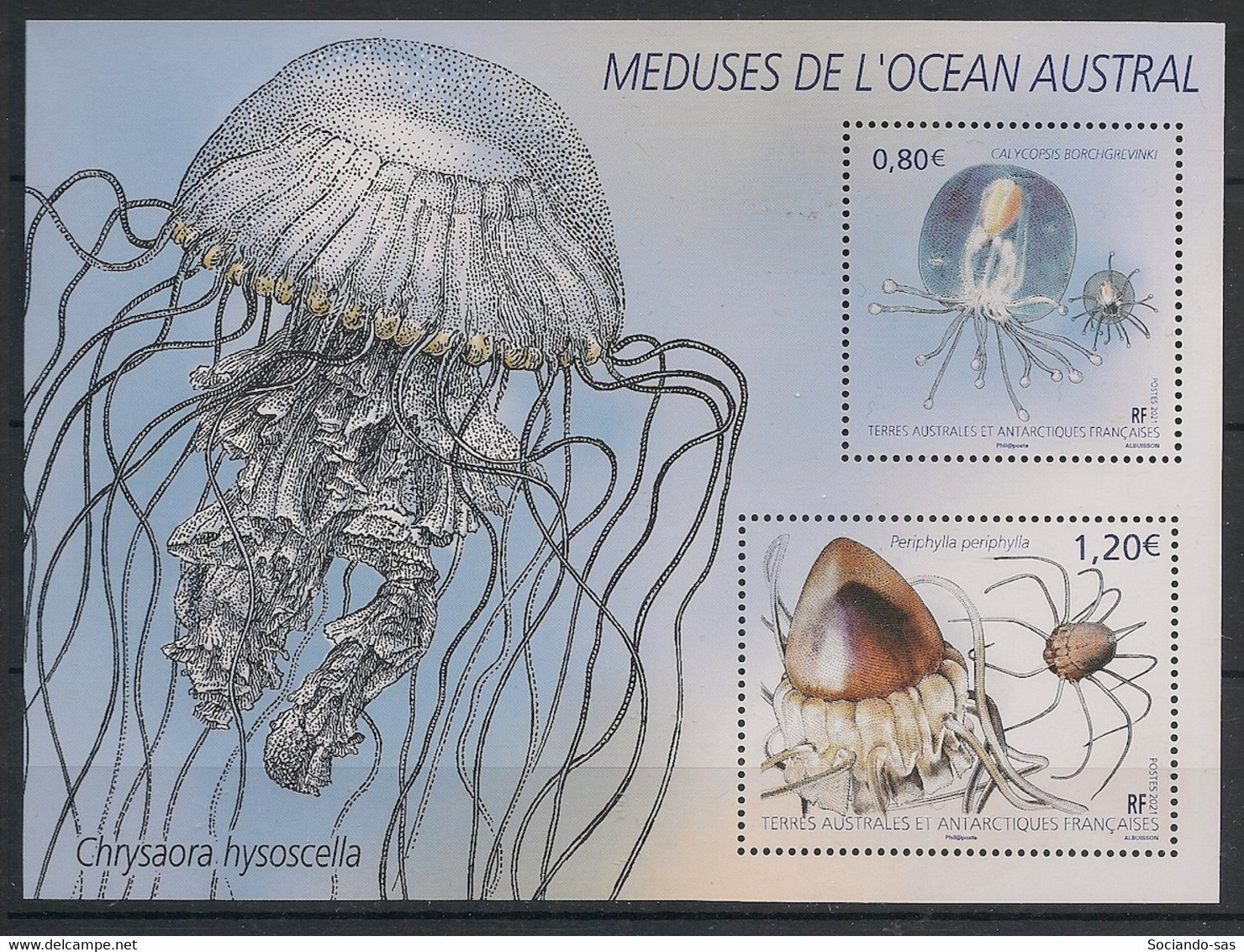 TAAF - 2021 - N°YT. F963 - Méduses - Neuf Luxe ** / MNH / Postfrisch - Unused Stamps