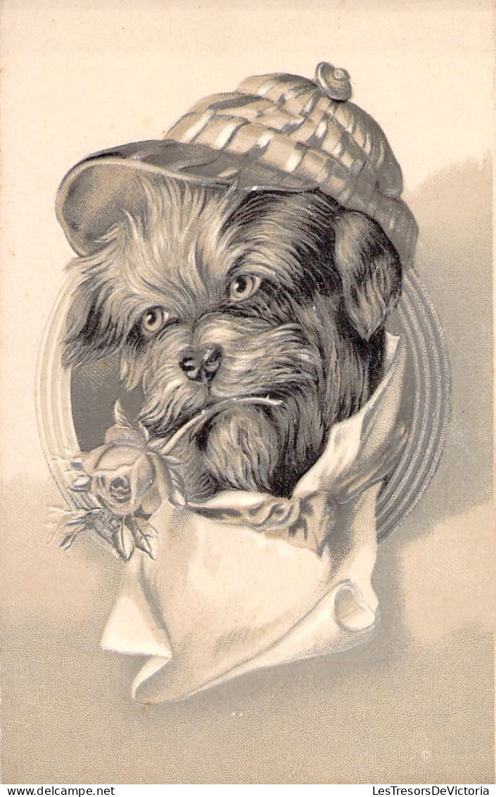 Animaux Habillés - Carte En Relief - Chien A Casquette - Maison Dandois - Huy Roux Namur - Carte Postale Ancienne - Gekleidete Tiere