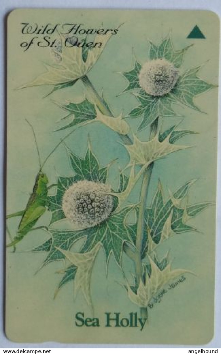 Jersey £2  GPT 40JERC - Sea Holly - [ 7] Jersey And Guernsey