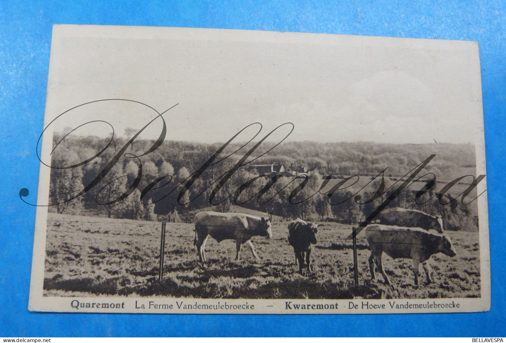 Kwaremont Quaremont Ferme Hoeve Boerderij Vandemeuilebroecke - Kluisbergen