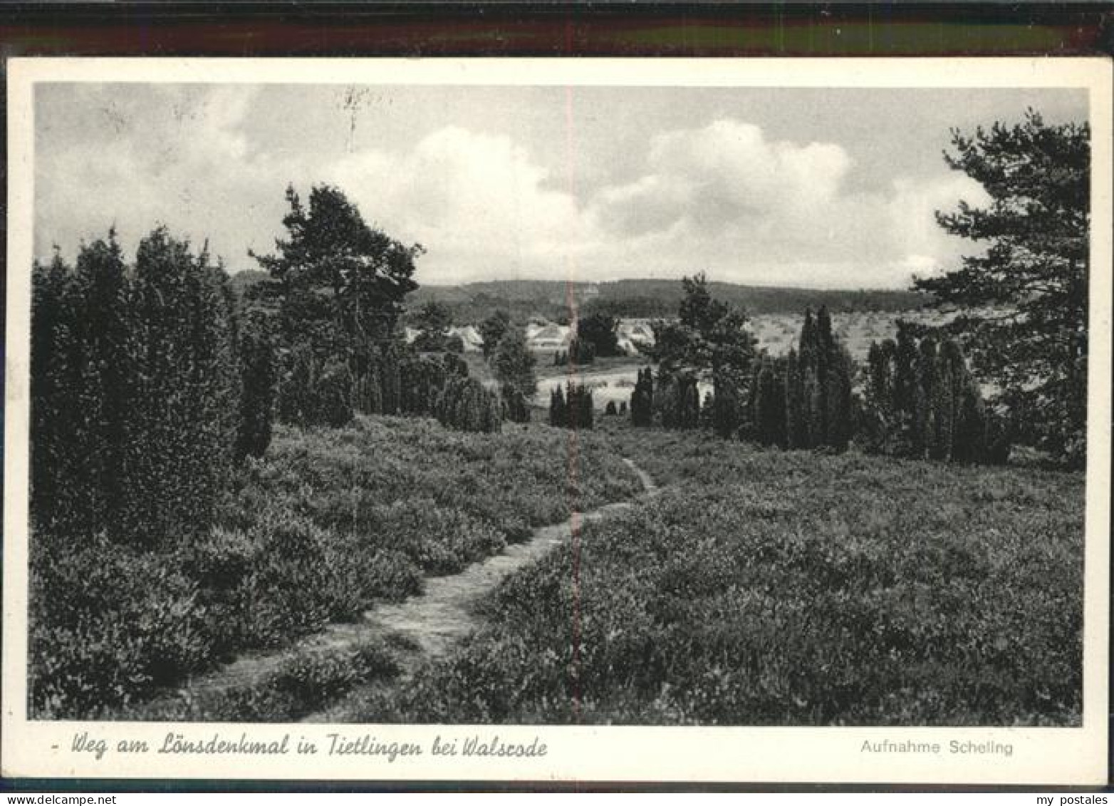 41089096 Tietlingen Weg Am Loensdenkmal Adolphsheide - Fallingbostel