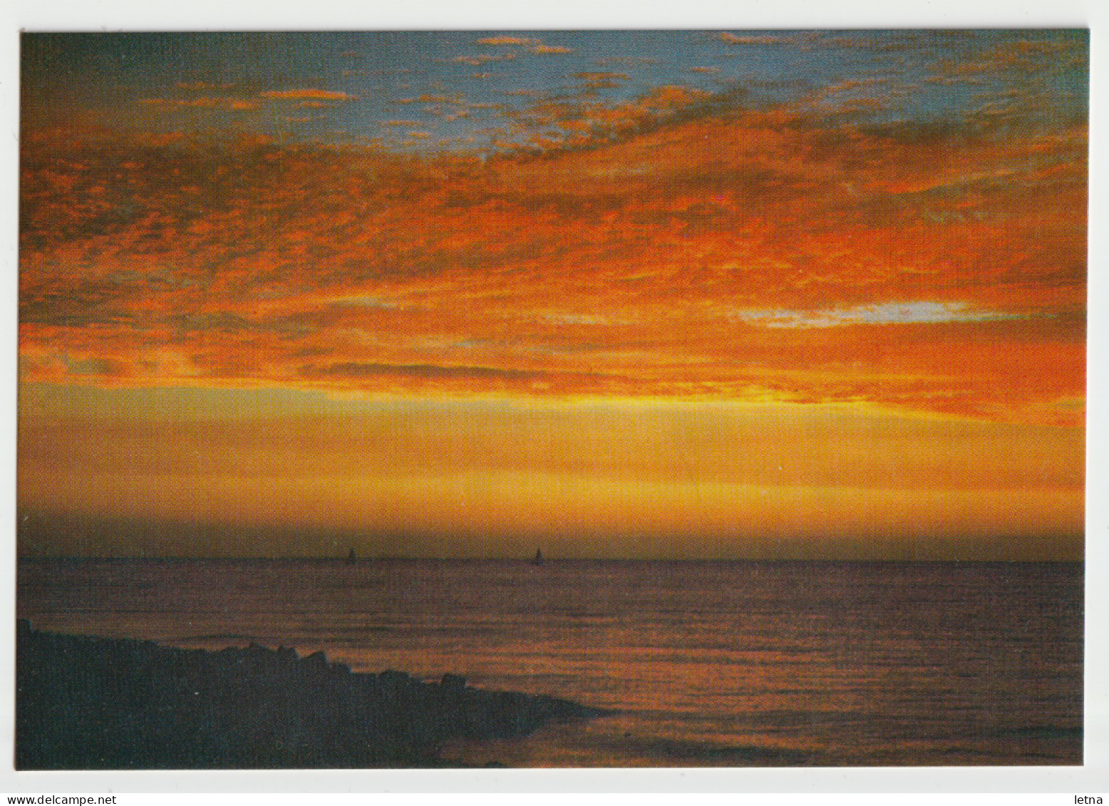 Australia VICTORIA VIC Golden Sunset Rose Series No.683 Postcard C1970s - Andere & Zonder Classificatie