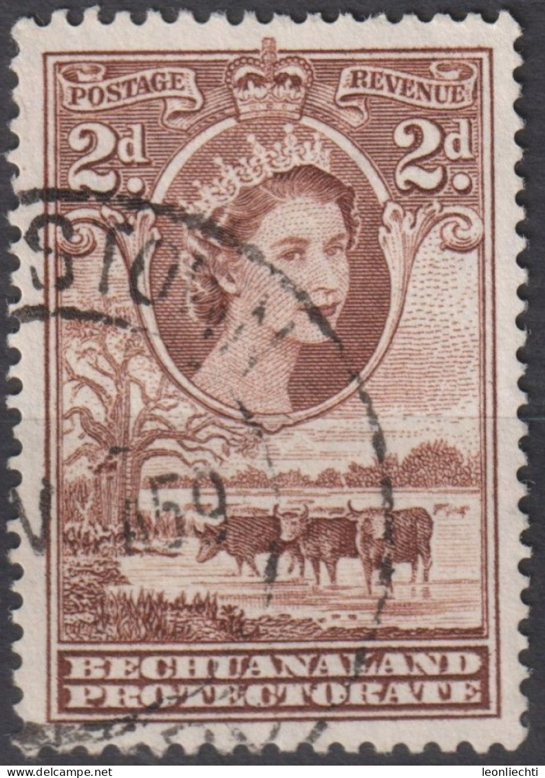 1955 Bechuanaland ° Mi:GB-BE 131, Sn:GB-BE 156, Yt:GB-BE 95, Queen Elizabeth II, Cattle (Bos Primigenius Taurus) - 1885-1964 Protectorat Du Bechuanaland