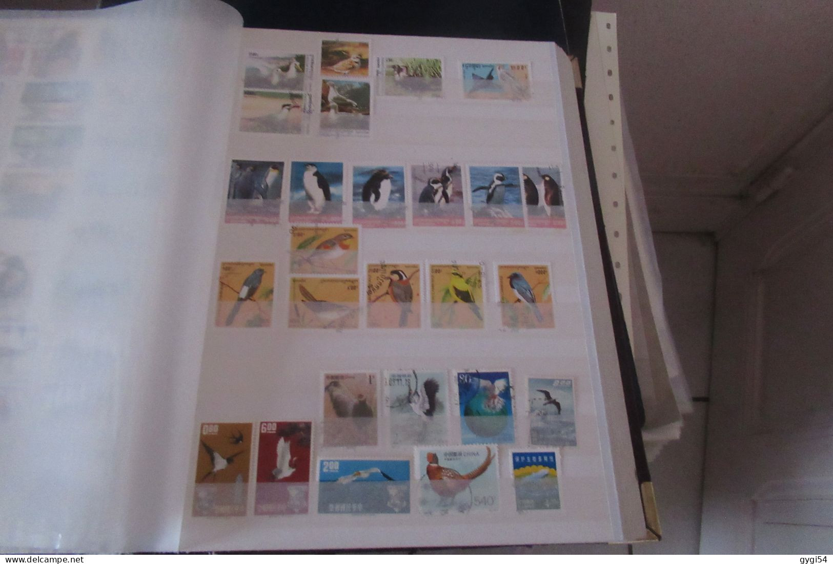 OISEAUX   LOT DE 16 PAGES