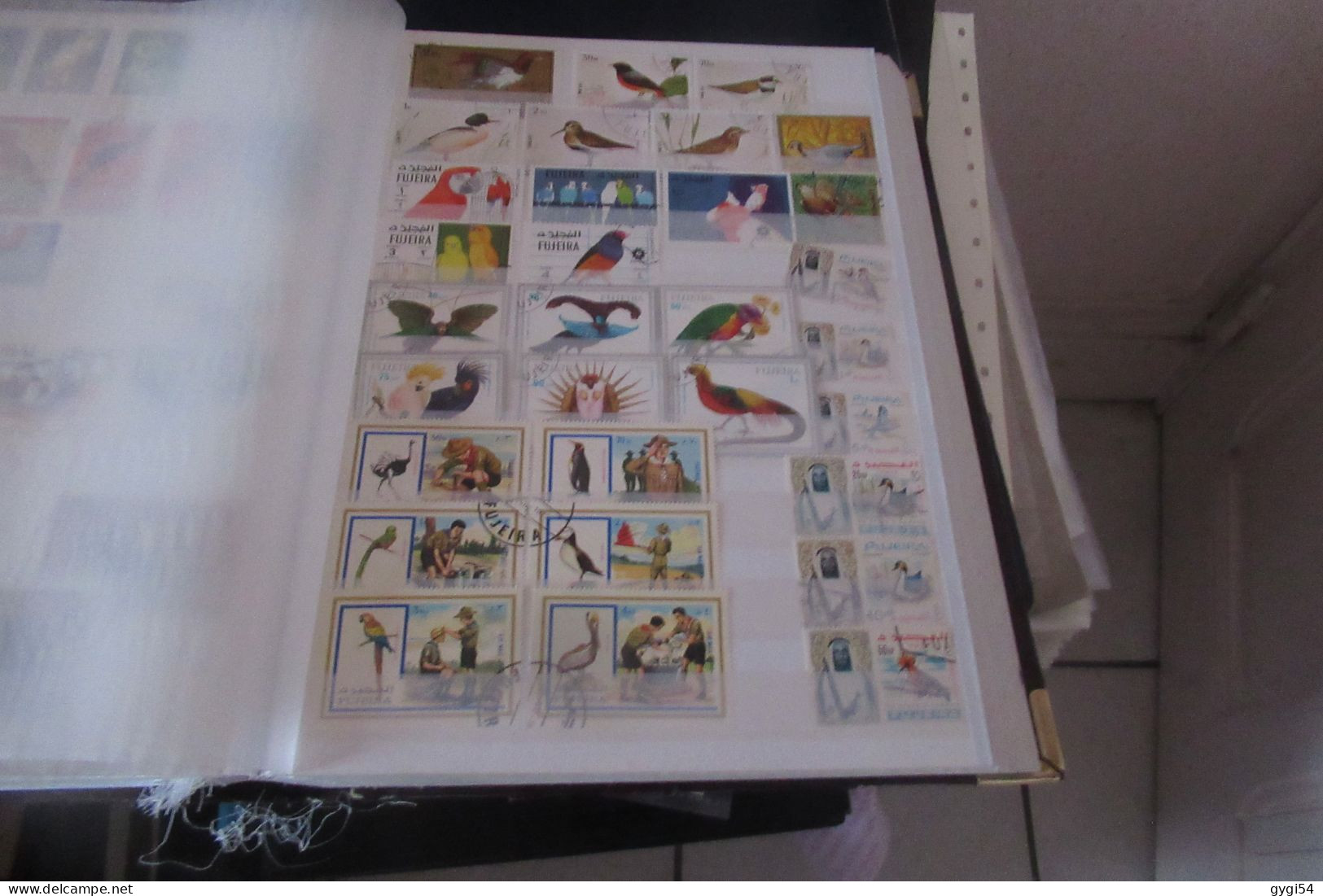 OISEAUX   LOT DE 16 PAGES