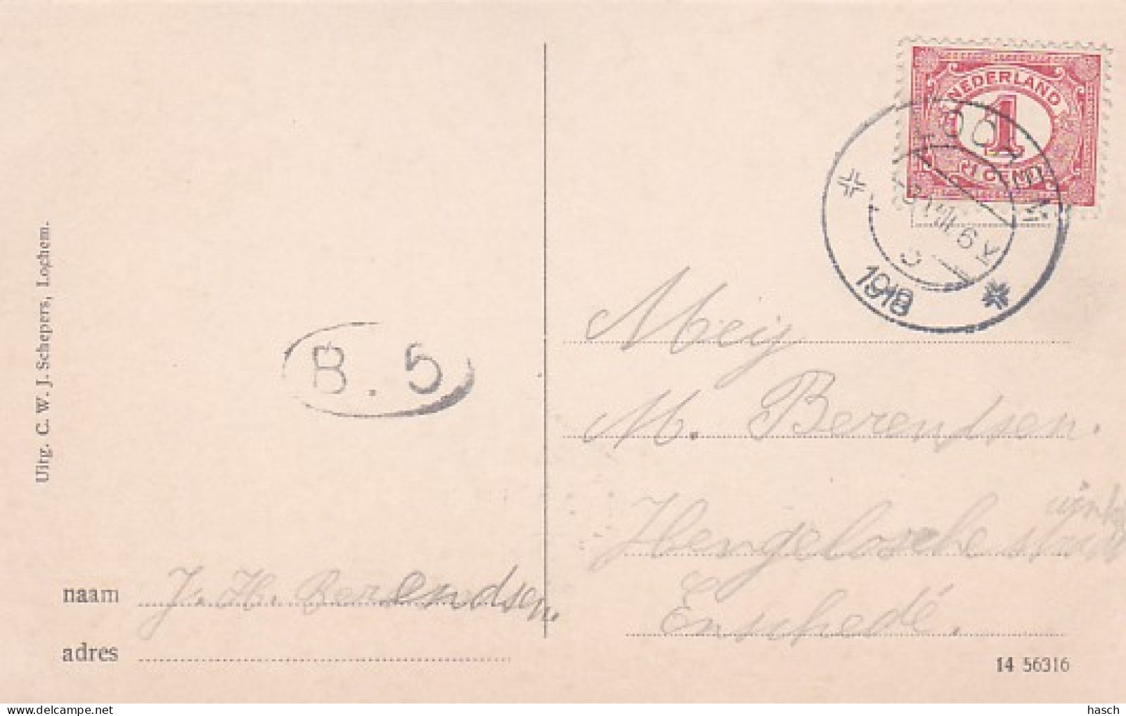 2604204Lochem, Dollehoed. (poststempel 1918) - Lochem