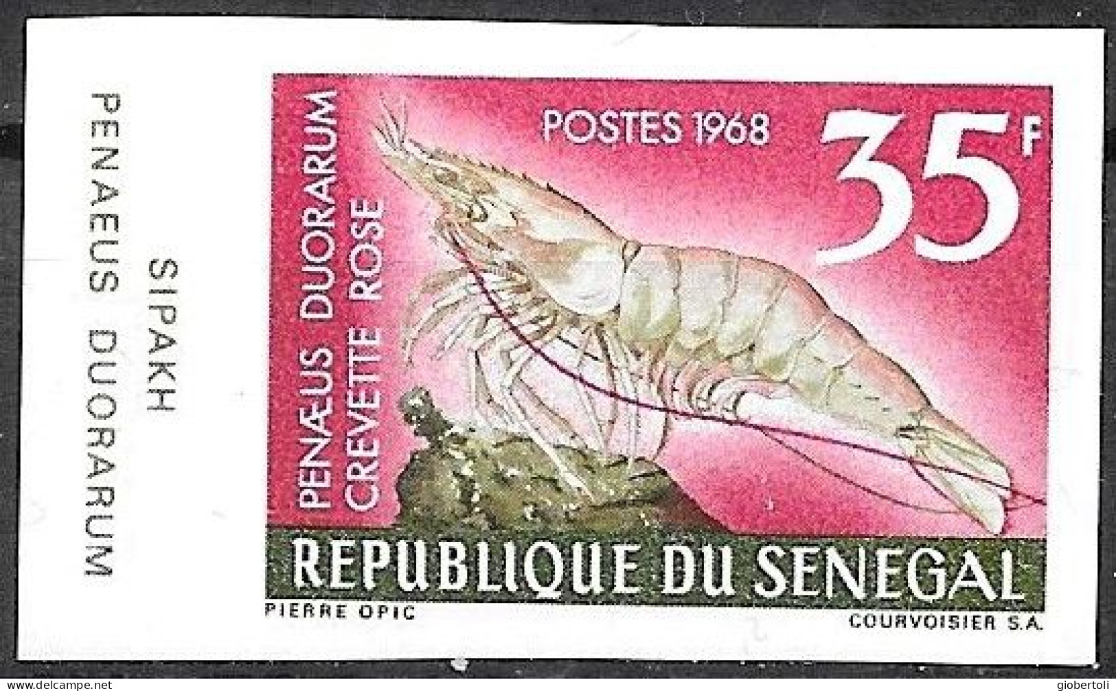 Senegal/Sénégal: Non Dentellati, Imperforate, Non Dentelé, Penaeus Duorarum, (gambero Rosa, Pink Crayfish, Crevette Rose - Schaaldieren