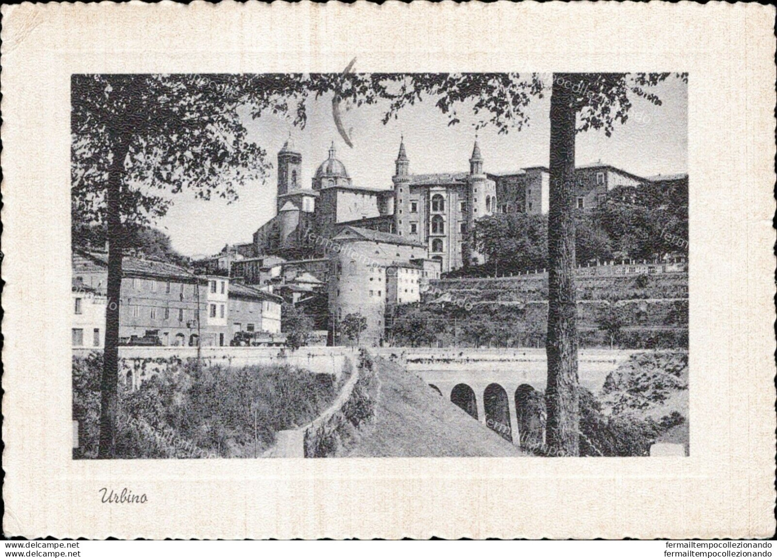 Am201 Cartolina Urbino - Urbino