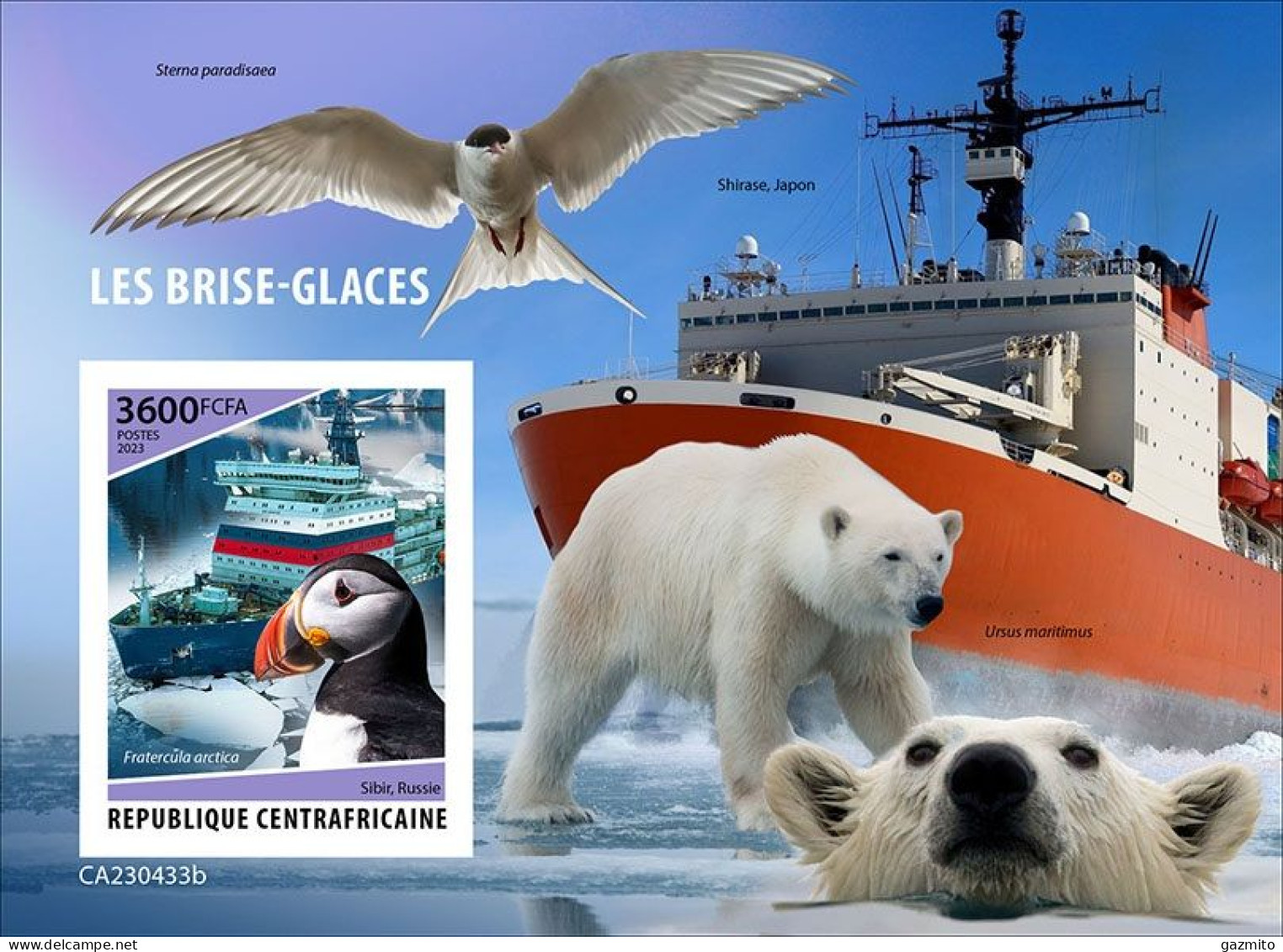 Centrafrica 2023, Iceberg, Birds, Polar Bear, BF IMPEFORATED - Faune Arctique