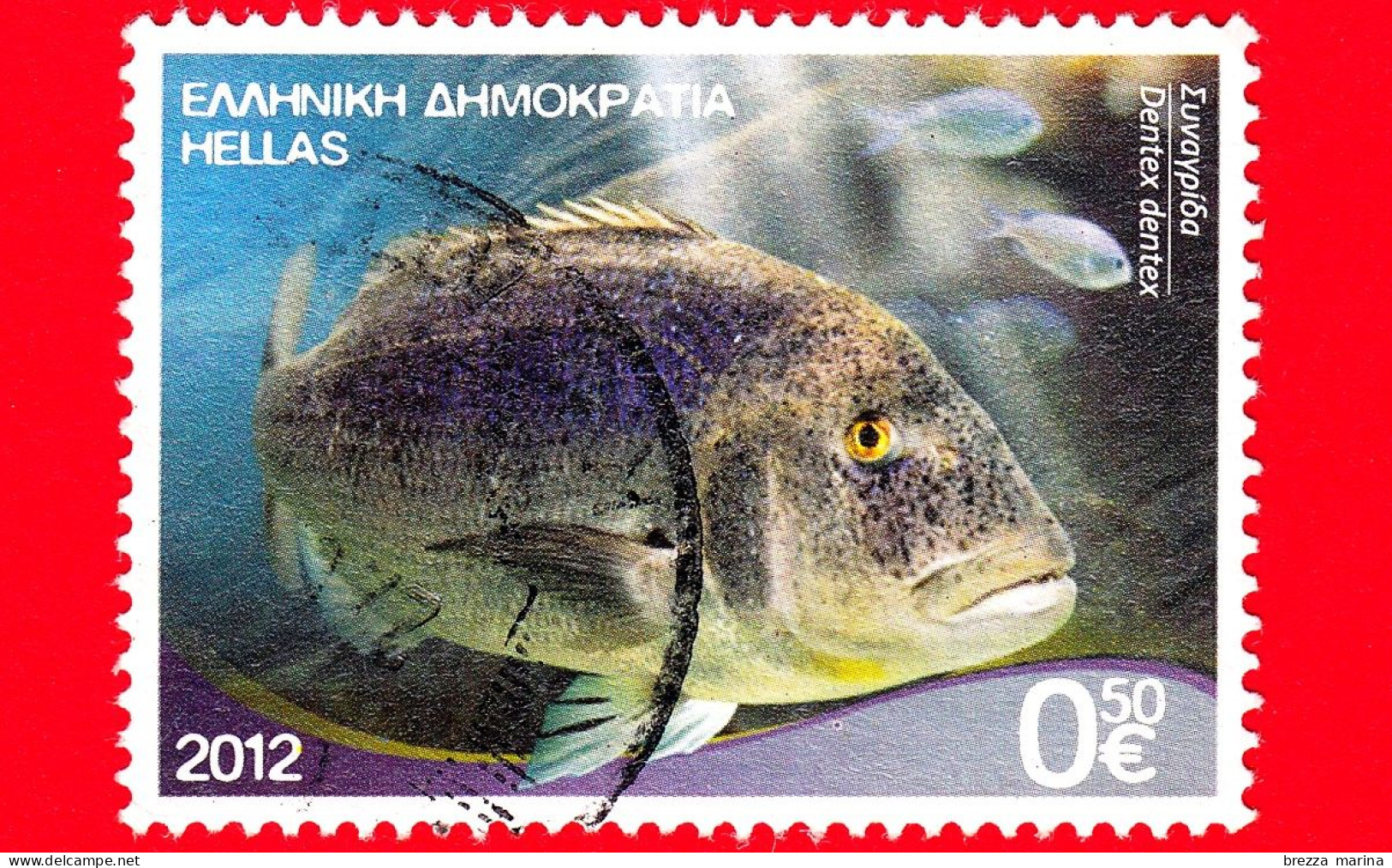 GRECIA - HELLAS - Usato - 2012 - Ricchezze Dei Mari Greci - Pesci - Fish - Dentice - Dentex - 0.50 - Gebruikt