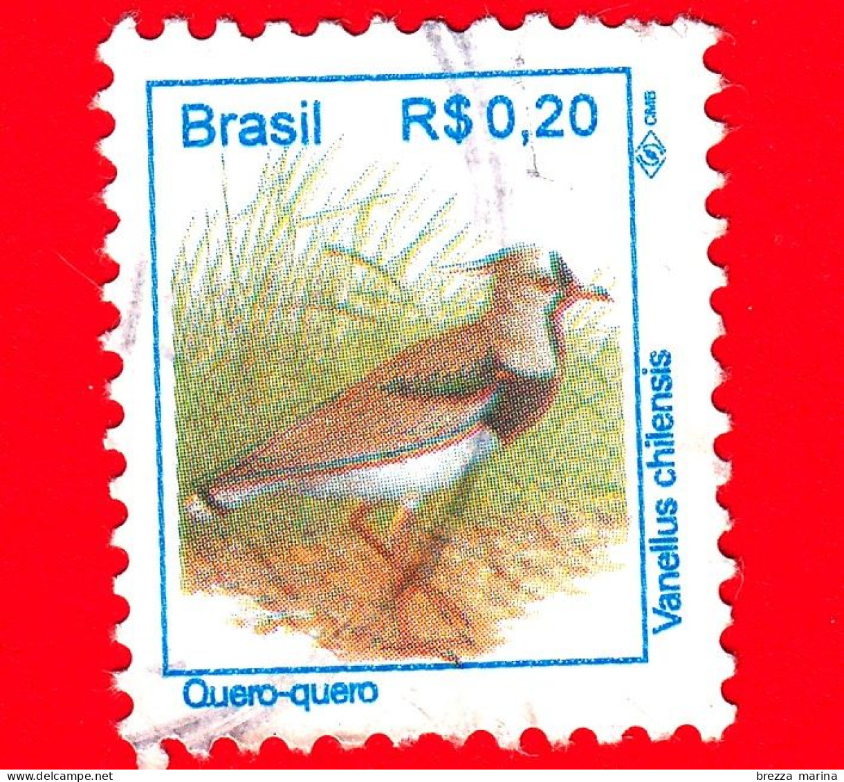 BRASILE - Usato - 1994 - Uccelli Brasiliani - Pavoncella  - Birds - Quero-quero - Vanellus Chilensis -  0.20 - Usati