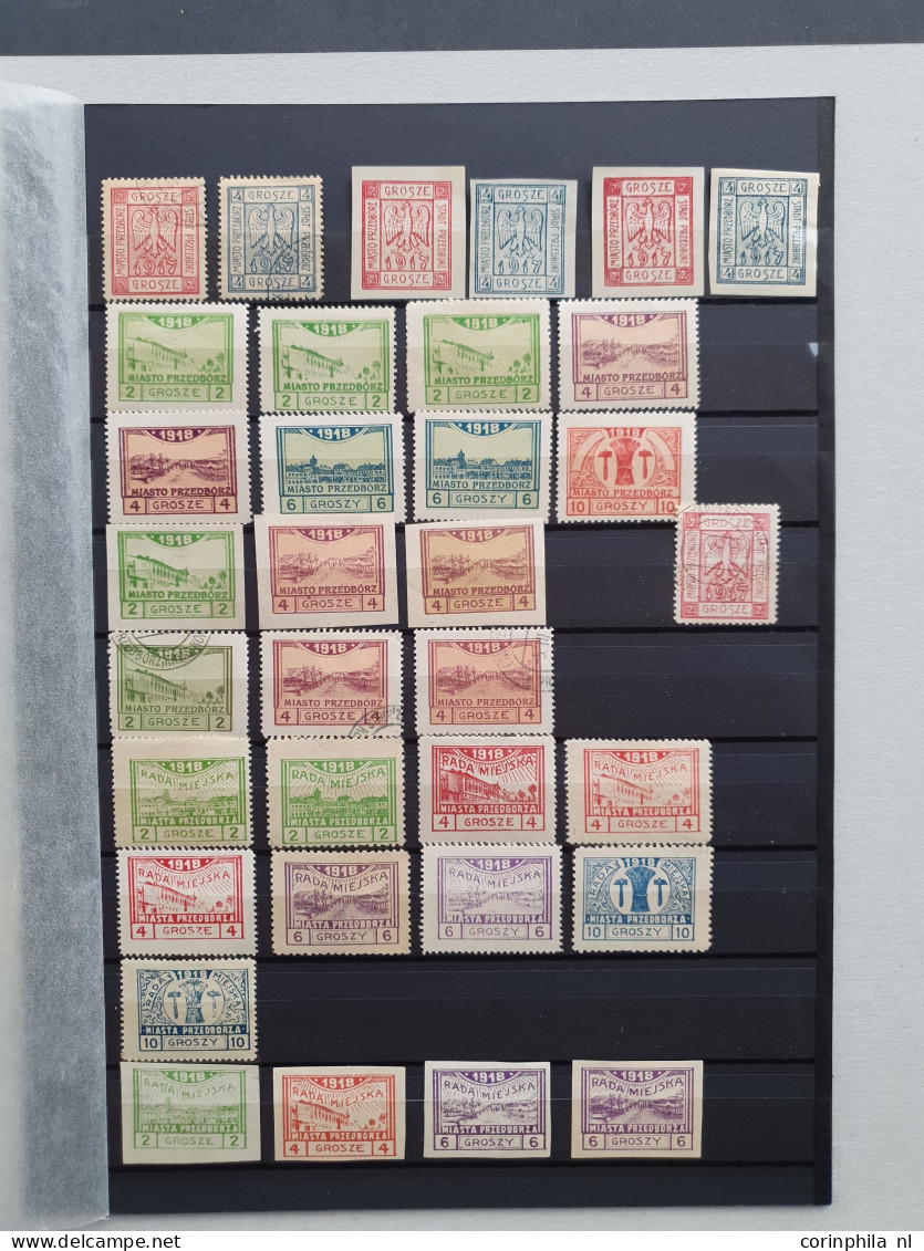 1917-1918, Local Post Przedborz, Collection Used And * Including Imperforated On 2 Stock Pages In Folder - Sonstige & Ohne Zuordnung