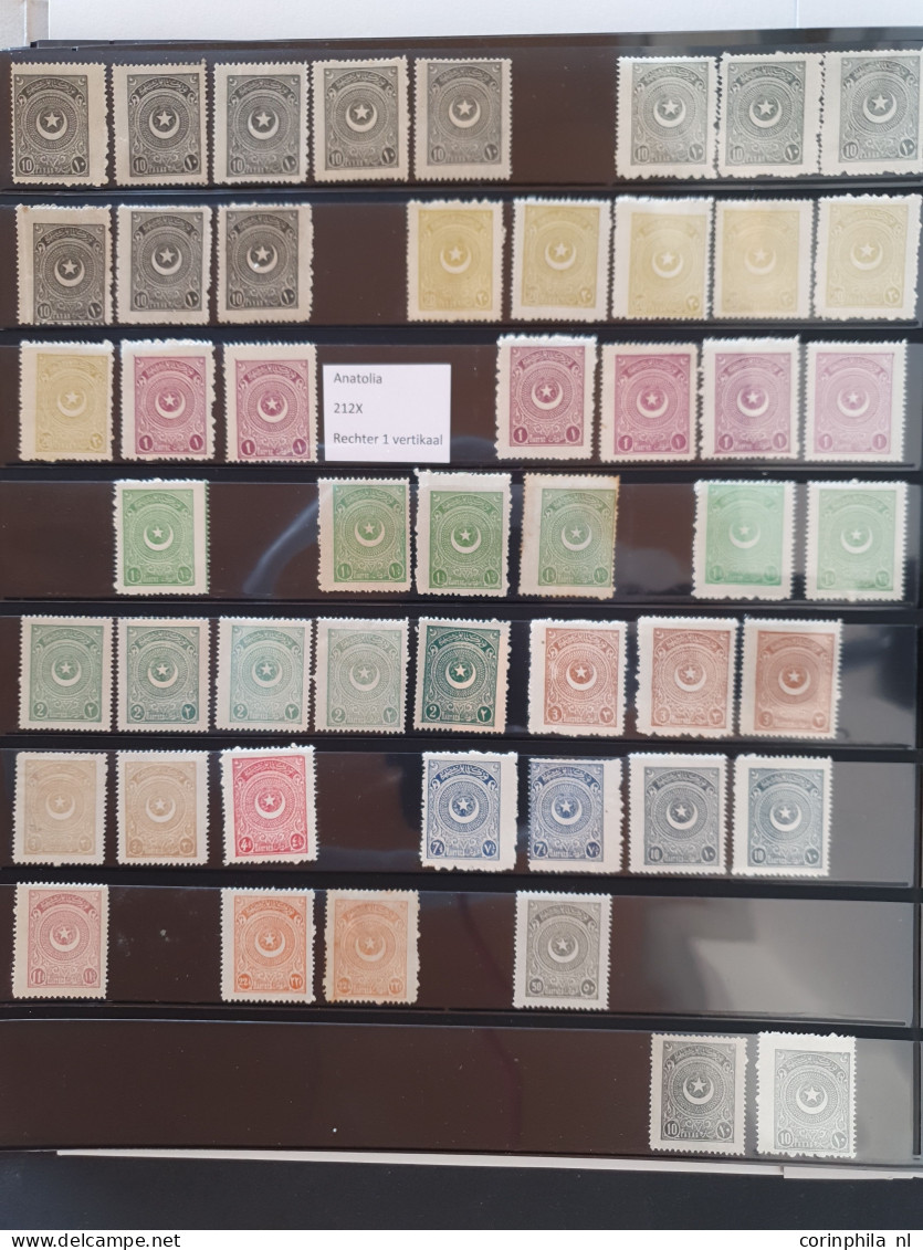 1923-1926, Star And Crescent Issue, Specialized Collection Used And */** With Better Items, Perforations, Varieties, Som - Autres & Non Classés