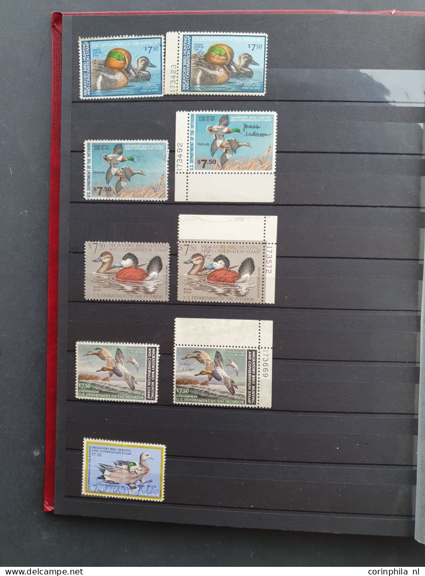 1934/2007 onwards Duckstamps collection with about approx. 200 stamps used, (*) and some */** and approx. 60 Migratory B