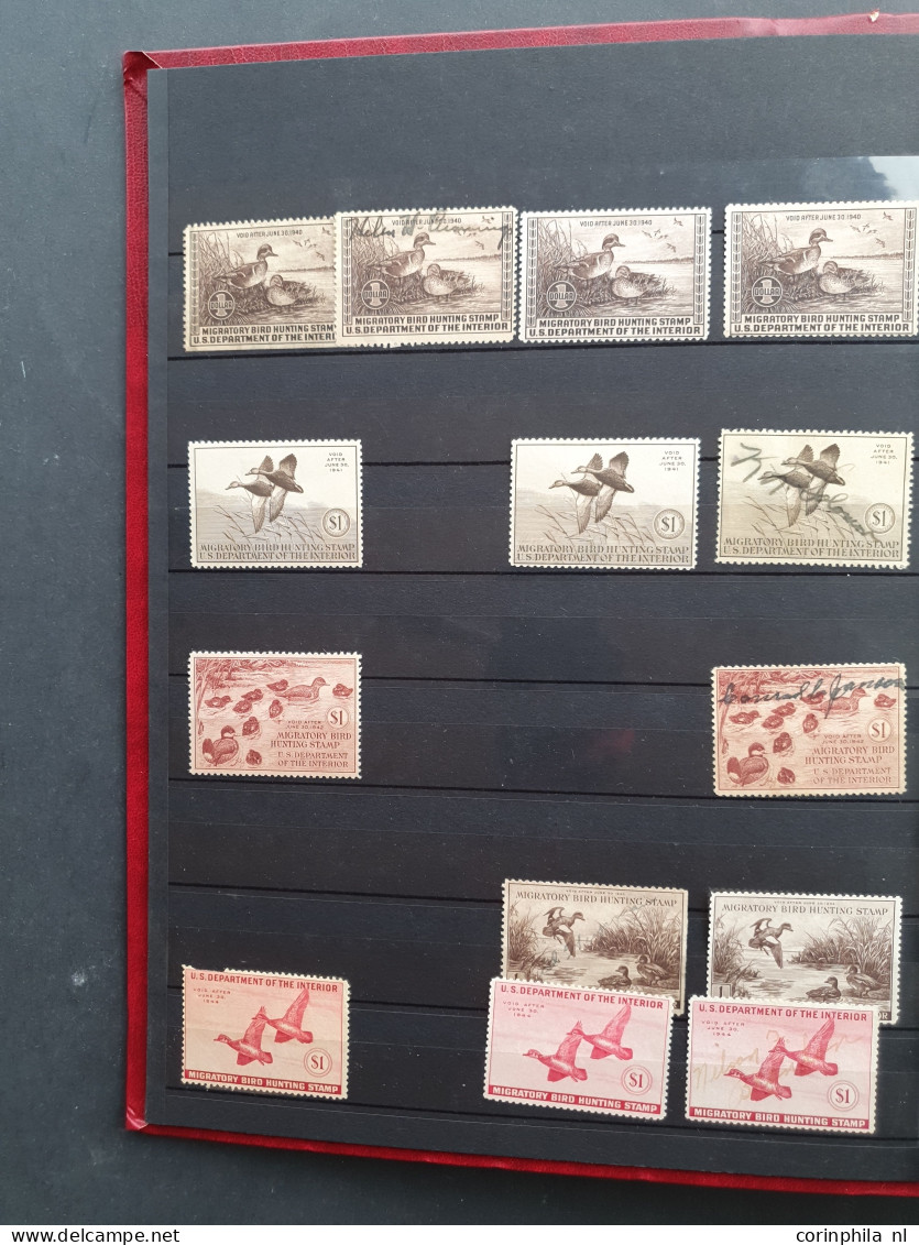 1934/2007 onwards Duckstamps collection with about approx. 200 stamps used, (*) and some */** and approx. 60 Migratory B