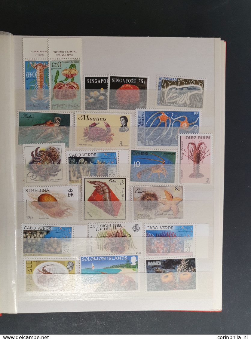 1915c./1995 collection Birds, nicely arranged collection with a large number of mostly ** sets and miniature sheets with