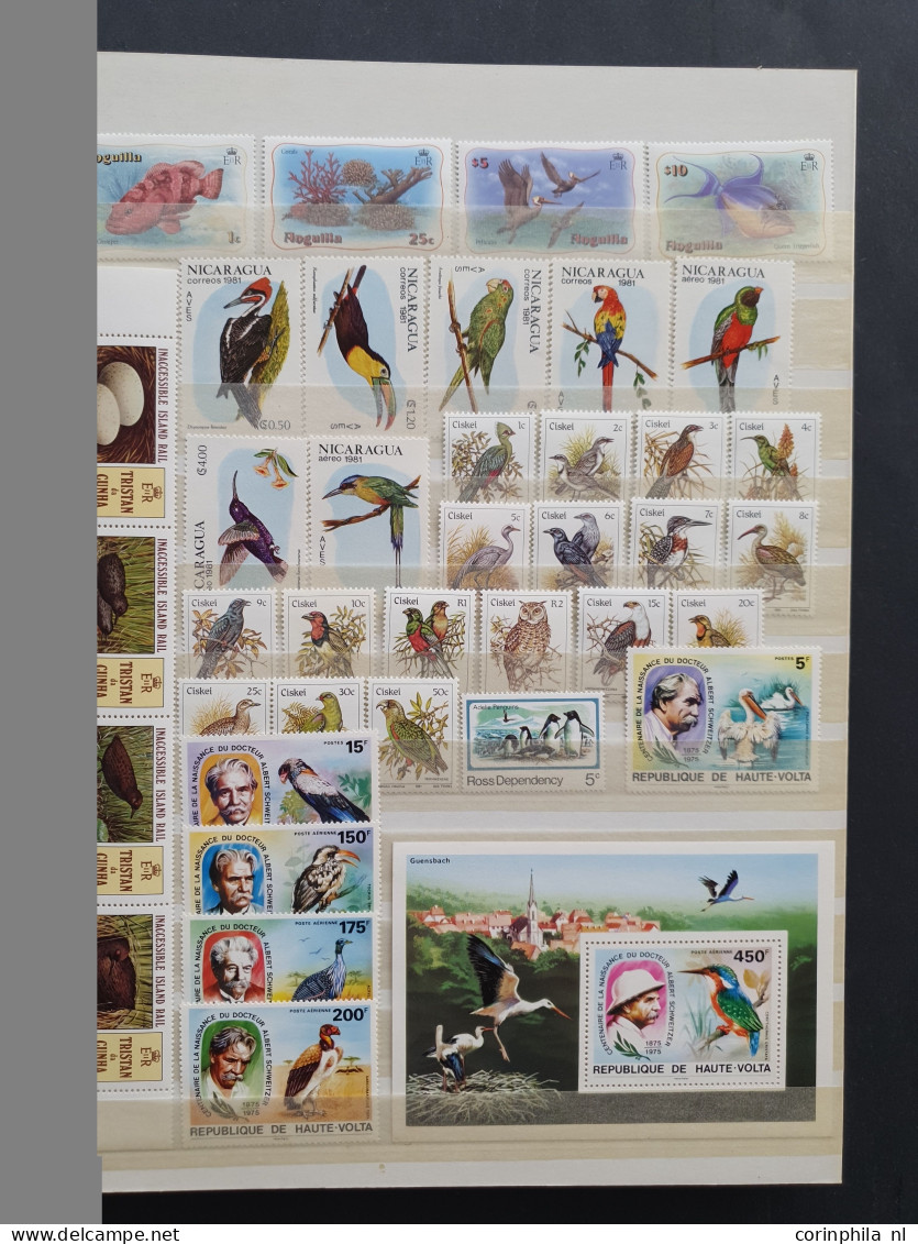 1915c./1995 collection insects and butterflies, nicely arranged collection with a large number of mostly ** sets and min