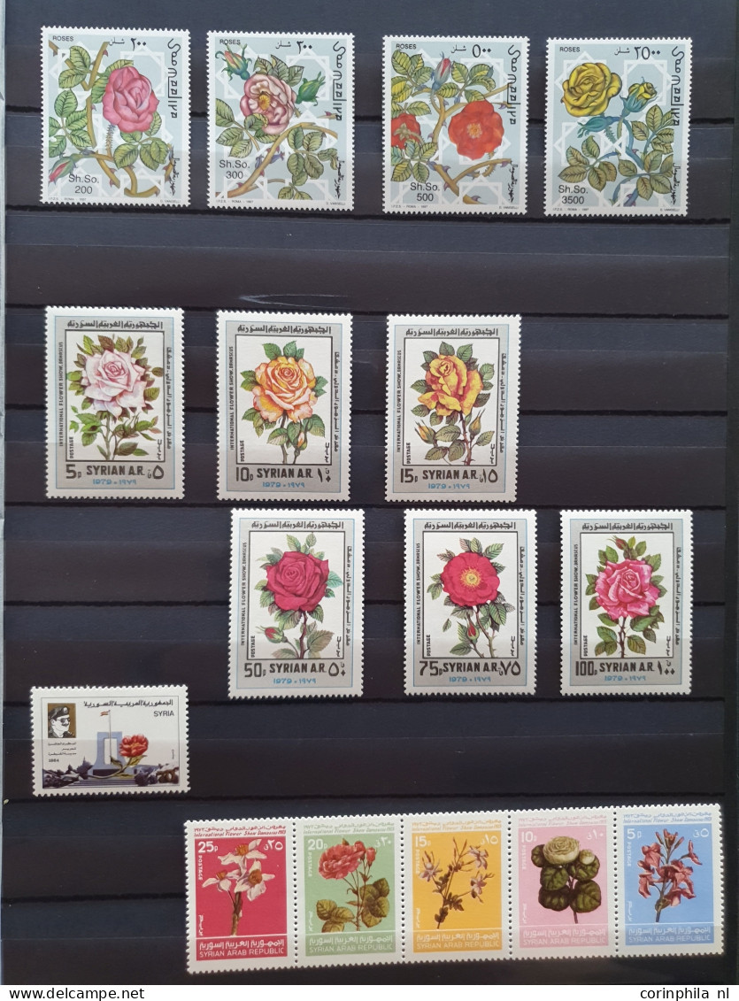 1950-2015 collection Roses (flower) used and */** sorted by country (A-Z) including booklets in 4  stockbooks and 2 enve