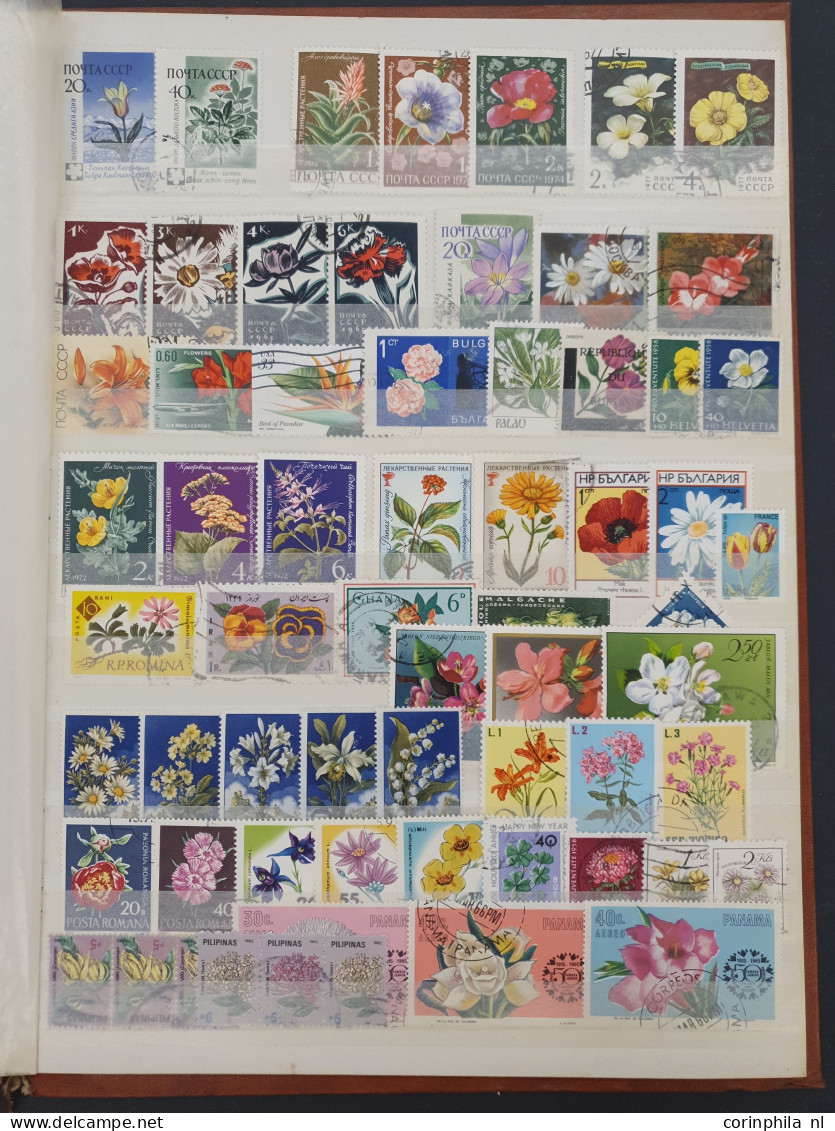 1860/2015 stock with a large number of classical stamps in well-filled stockbooks and on album pages including China, Ja